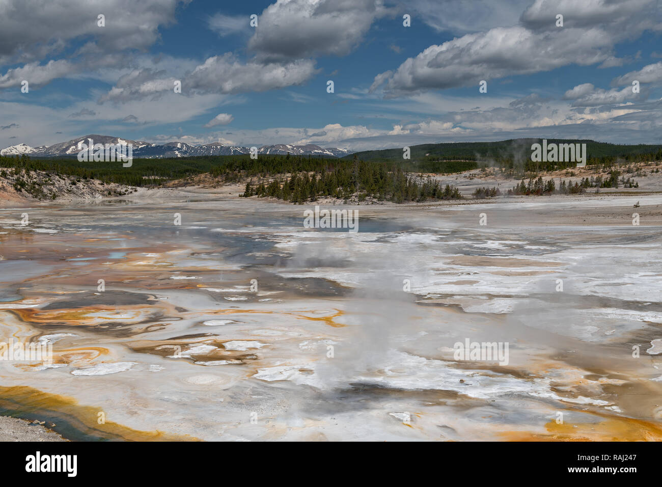 Norris Geyser Basin, Yellowstone National Park USA Stockfoto