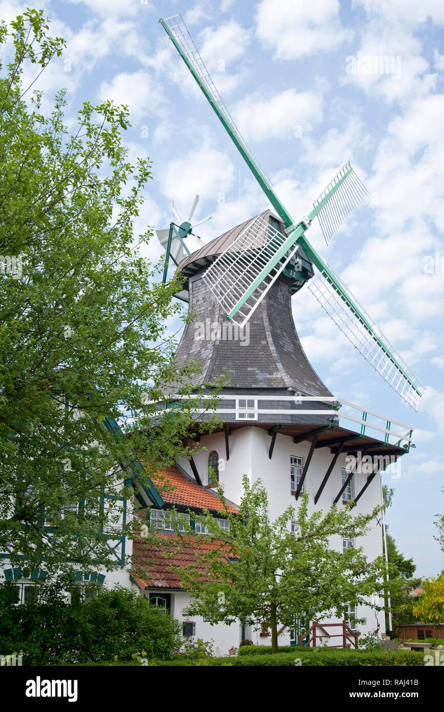Anna Windmühle, Norby in der Nähe von Rieseby, Schlei, Schleswig-Holstein Stockfoto