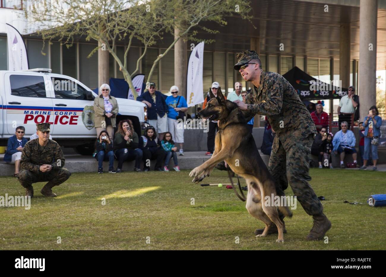 Us Marine Corps Lance Cpl. Danny Schale (rechts), eine militärische Polizist mit Marine Corps Air Station Yuma, bietet eine Demonstration mit "Scooby", eine militärische Gebrauchshund, während der Yuma militärischen Anerkennung Tag am Arizona Western College, Samstag, Februar 4, 2017. Stockfoto