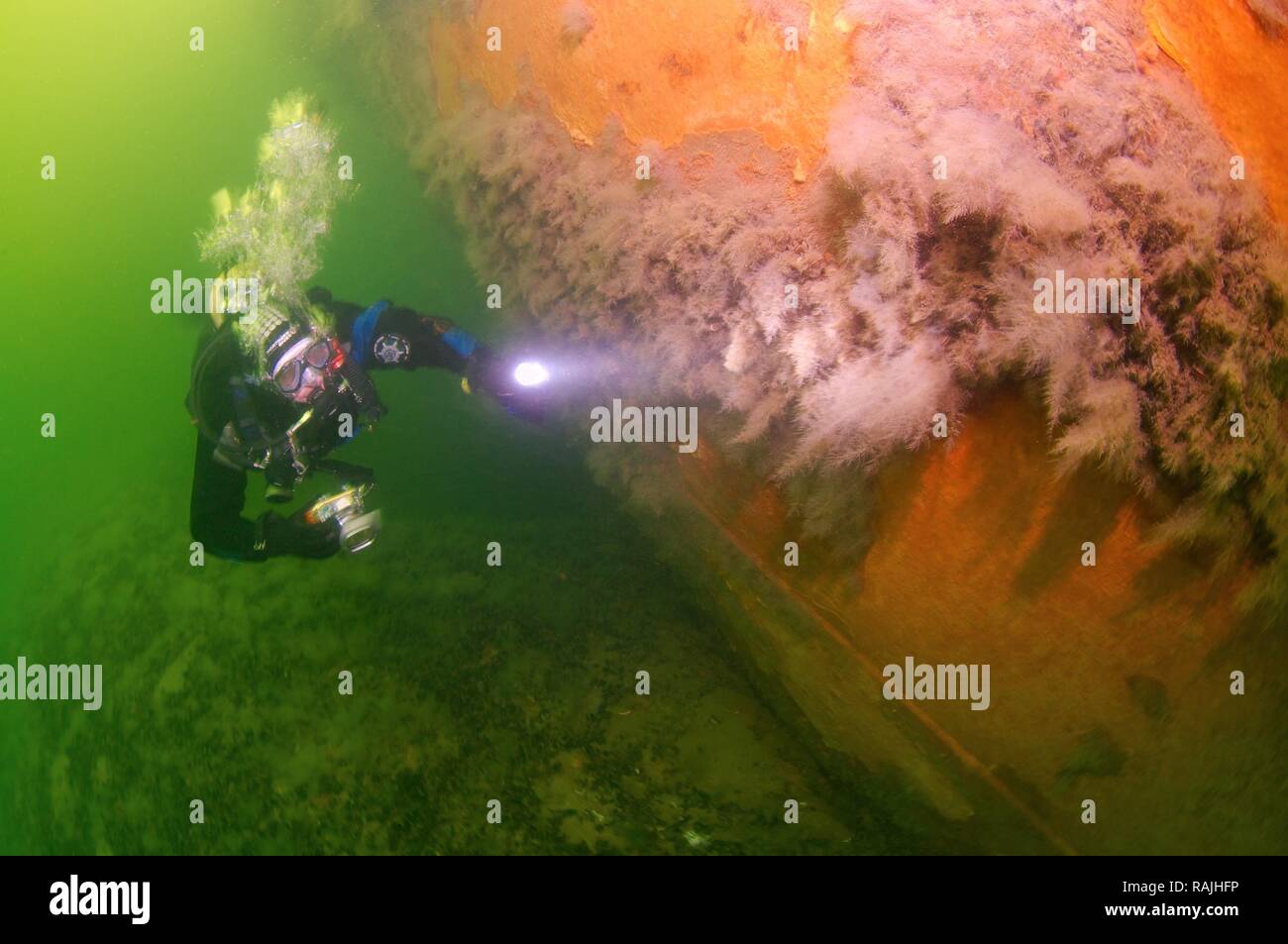 Taucher am Schiffswrack der Russischen transport Schiff "Bryansk', Odessa, Schwarzes Meer, Ukraine, Osteuropa Stockfoto