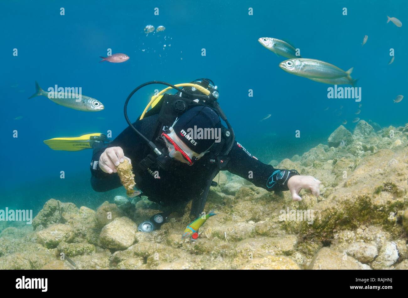 Scuba Diver, Riff, Marmaris, Türkei, westlichen Asien Stockfoto