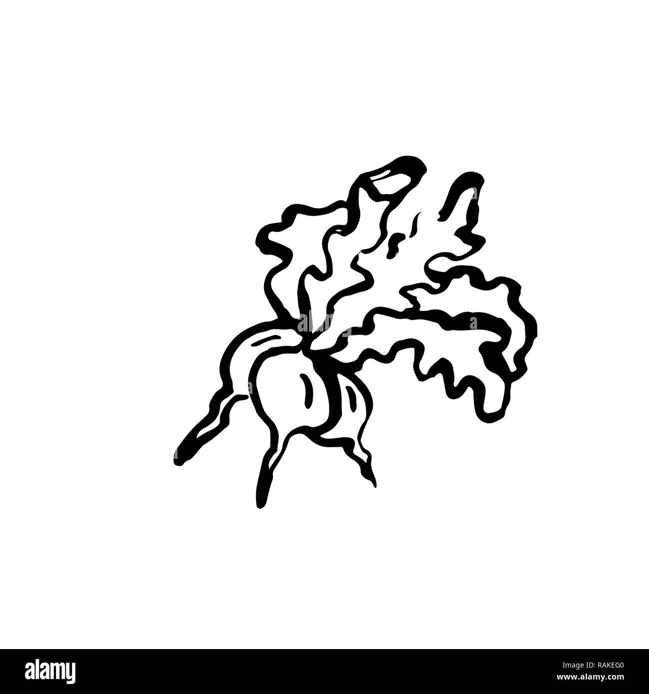 Bündel von radieschen. Grunge Symbol. Vector Illustration. Stock Vektor