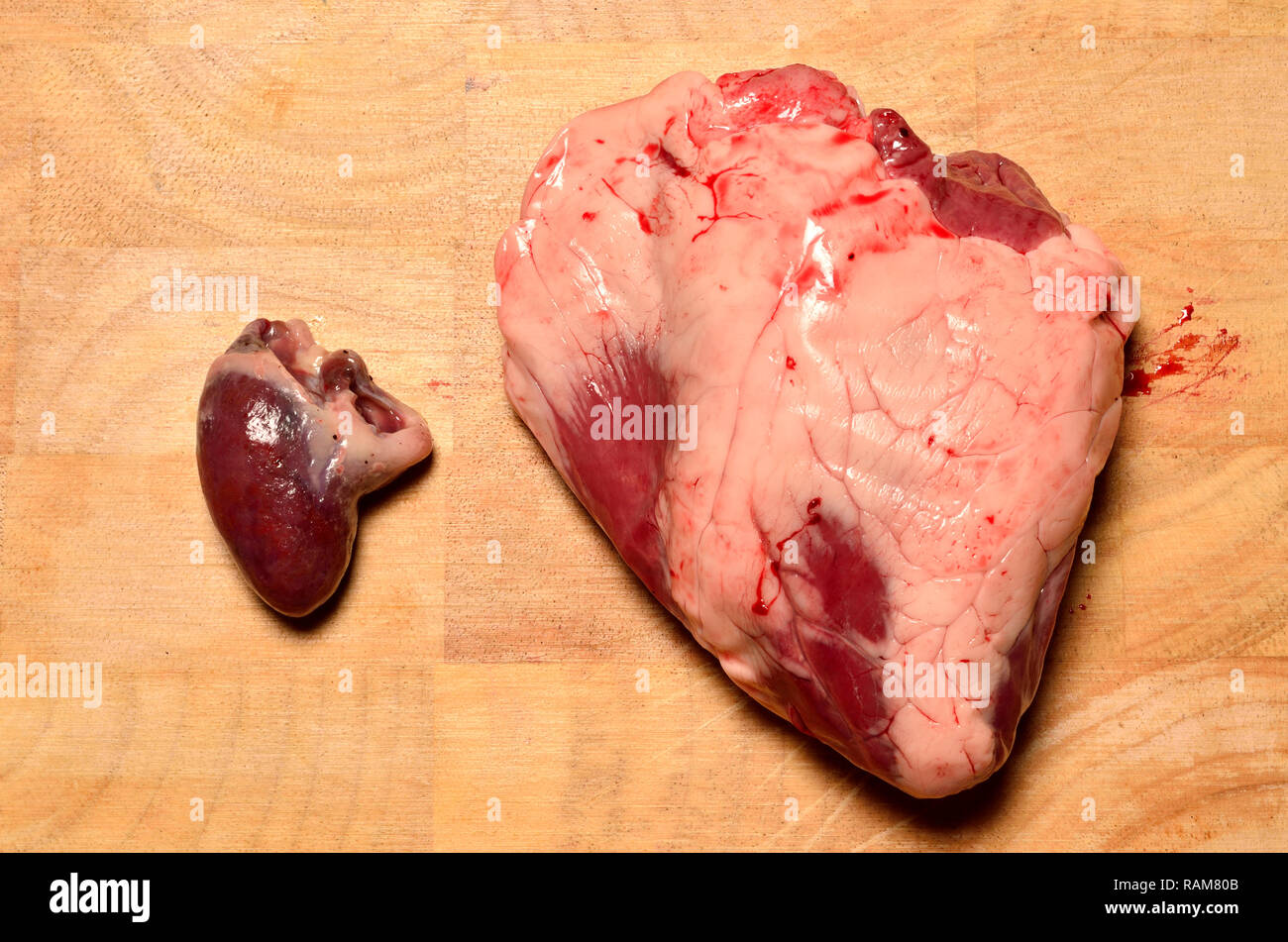 Duck's Herz (l) und Lamm Herzen gekauft von einem Supermarkt, Größe vergleichen Stockfoto