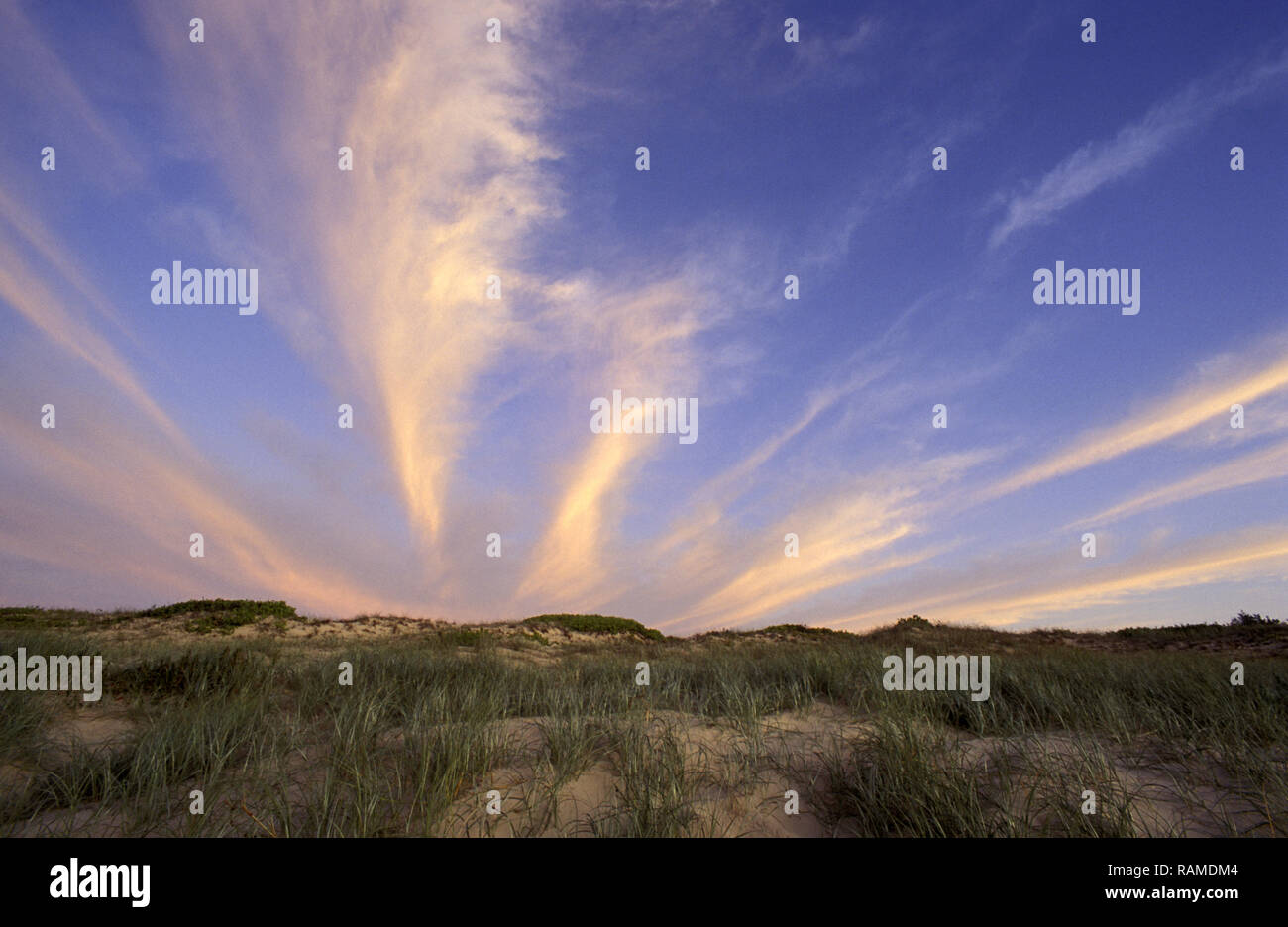 Sanddünen, SOUTH WEST ROCKS IN DER MACLEAY Valley, NSW, Australien Stockfoto