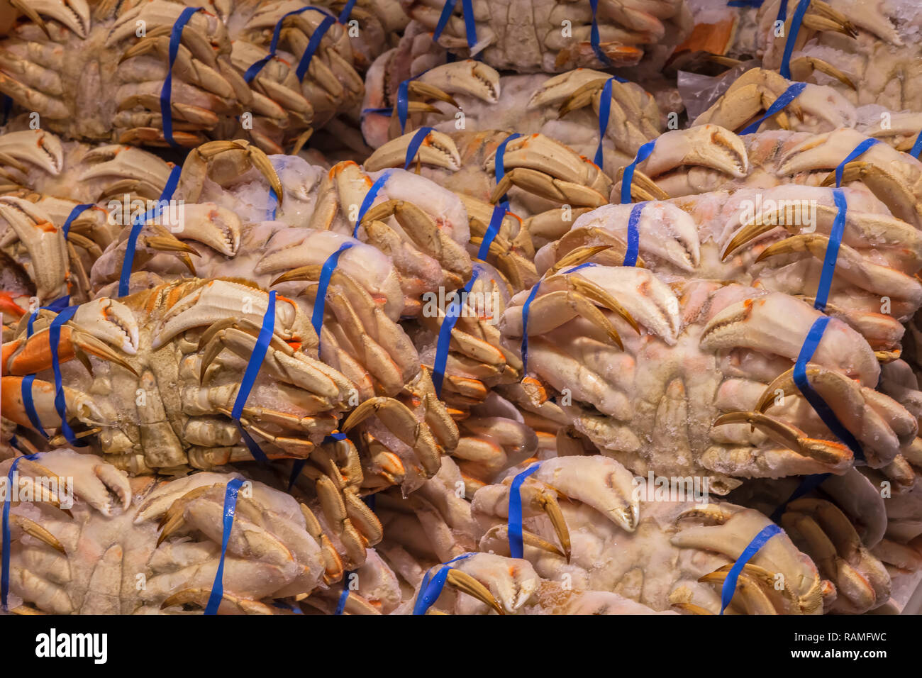 Dungeness Krabben auf der Anzeige für den Verkauf am Pike Place Market in Seattle, Washington, United States. Stockfoto
