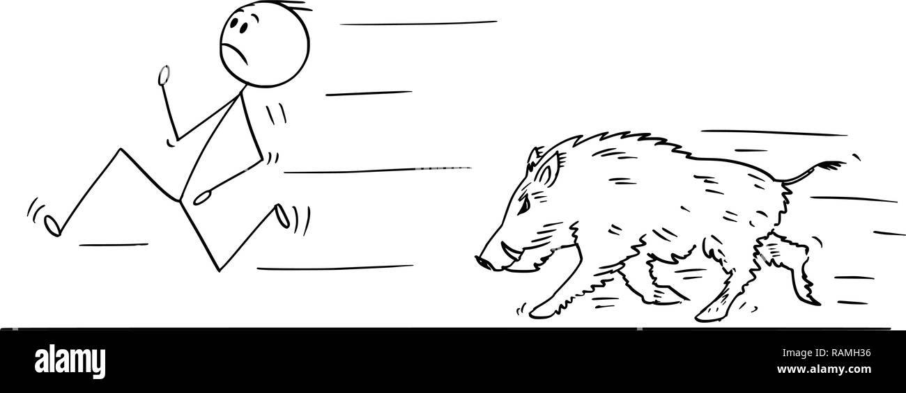 Cartoon von Mann laufen weg von Wildschweinen Stock Vektor