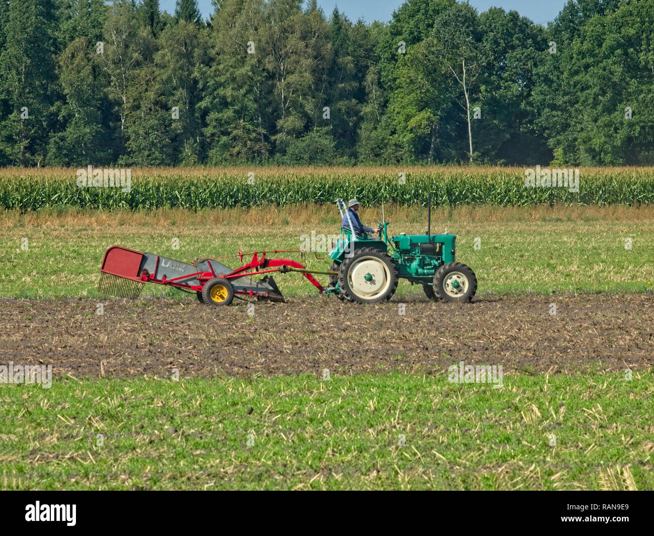 Landwirt auf seinem oldtime Traktor mit einem Kartoffel Bagger graben Kartoffeln aus seinem Feld gekoppelt. Stockfoto