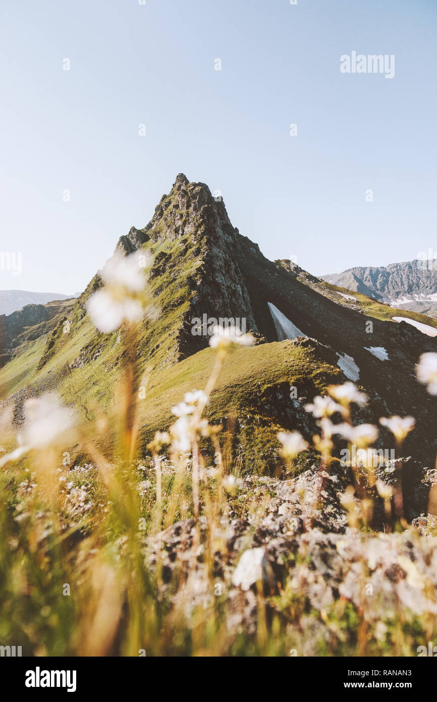Sommer Berge Landschaft Blumen und Berge reisen Hintergrund wilde Natur Ambiente malerische Aussicht Stockfoto