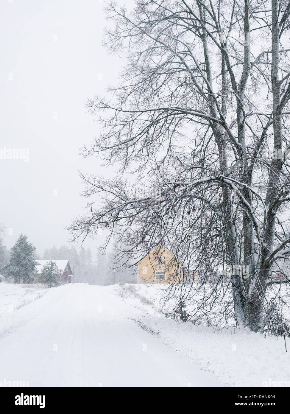 Winterlandschaft mit starker Schneefall und Häuschen im Schnee Sturm in Finnland Stockfoto