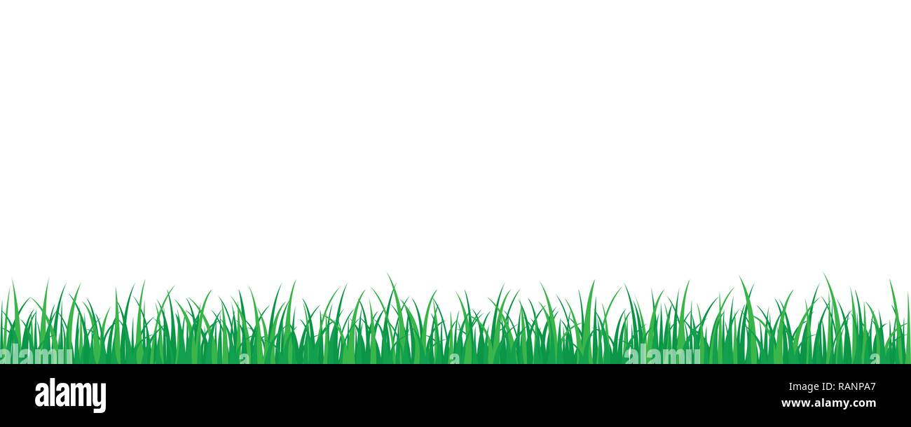 Grüne gras wiese Grenze vector Pattern isoladet auf weißem Hintergrund Vektor-illustration EPS 10. Stock Vektor