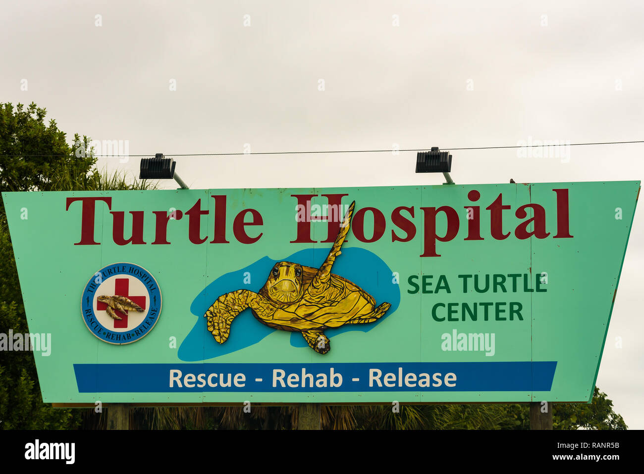 Marathon, Florida Keys - Dezember, 2018: Turtle Hospital, Meer Zentrum Klinik für wilde Tiere und Tiere an den Overseas Highway road US1 Route. Stockfoto