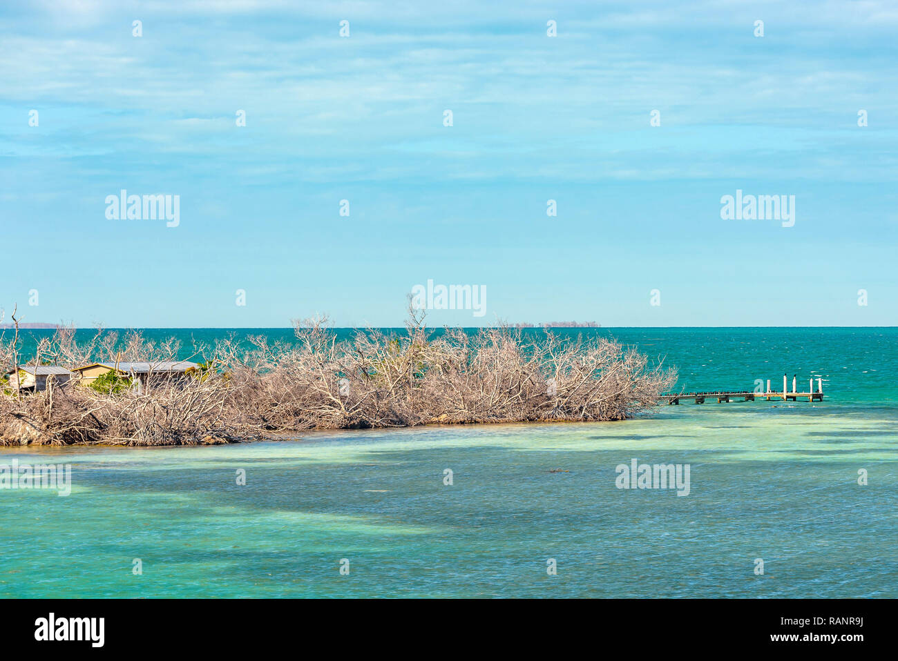 Wenig Geld, Schlüssel, eine kleine Wüste Insel umgeben von wunderschönen kristallklaren, türkisblauen Meer Wasser umgeben. Florida Keys. Stockfoto