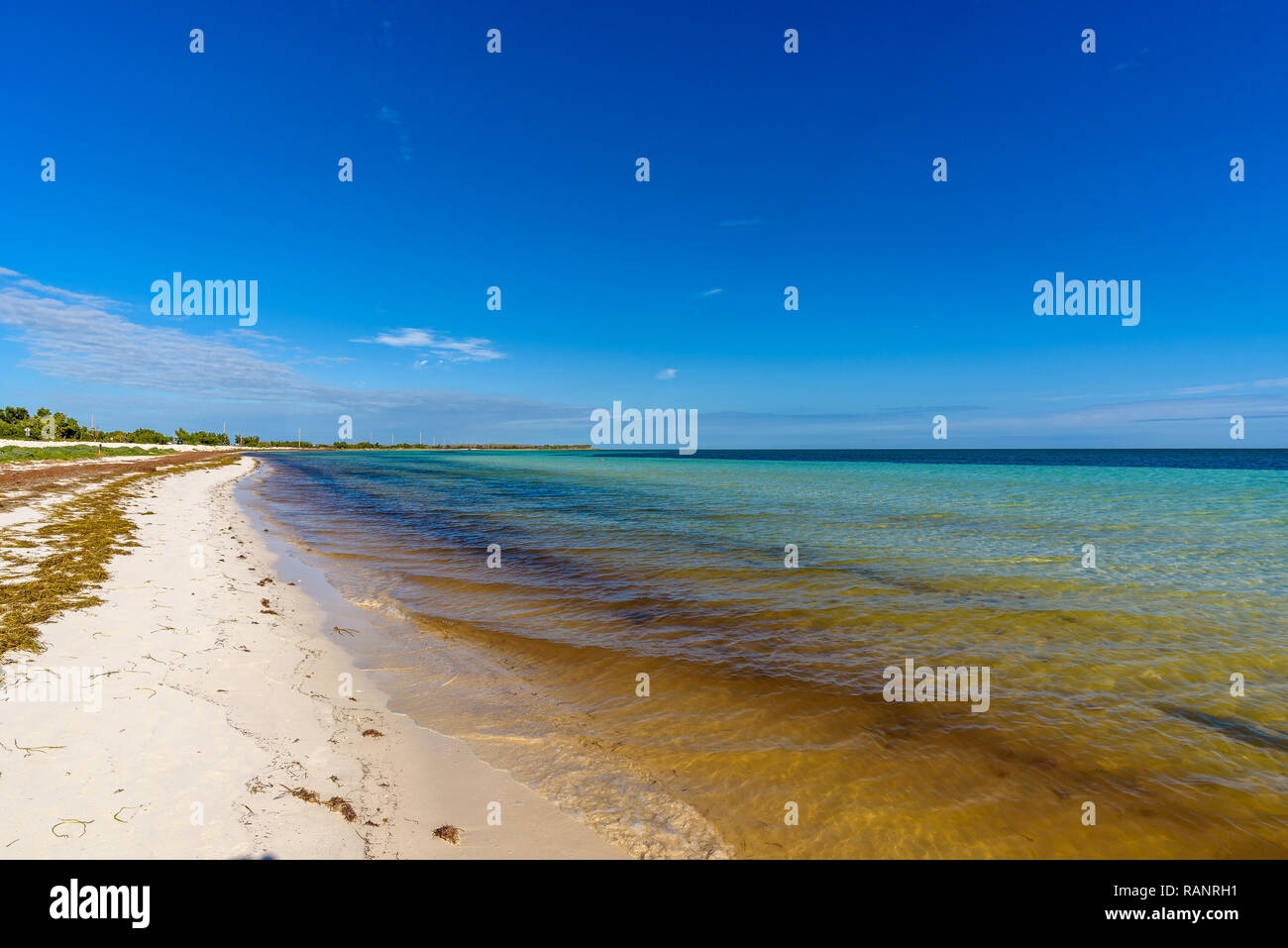 Schönen weißen Sandstrand und das kristallklare, türkisfarbene Meer Wasser und blauer Himmel. Panoramablick auf die Landschaft der Bahia Honda State Park, Florida Keys, USA Stockfoto