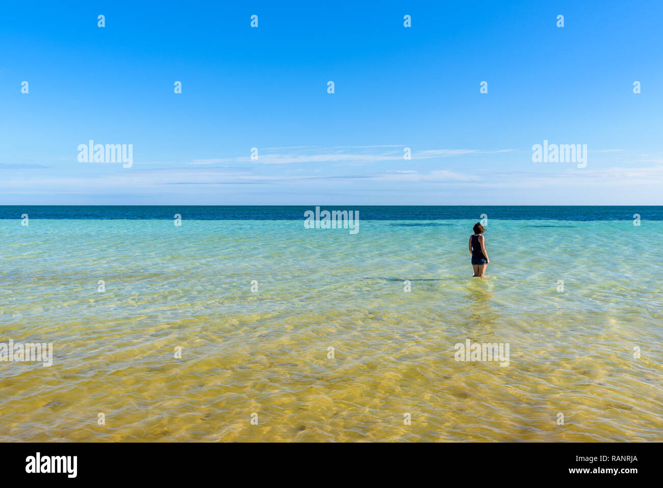 Junge attraktive Frau in Shorts auf dem Meer an einem tropischen Strand. Schöne türkisblaue Wasser des Ozeans. Bahia Honda State Park, Florida Keys Stockfoto
