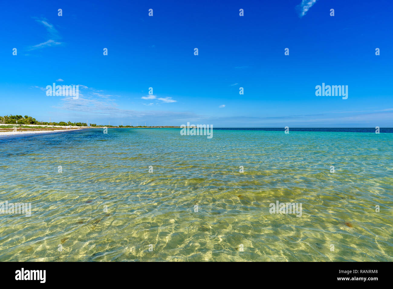 Schönen weißen Sandstrand und das kristallklare, türkisfarbene Meer Wasser und blauer Himmel. Panoramablick auf die Landschaft der Bahia Honda State Park, Florida Keys, USA Stockfoto