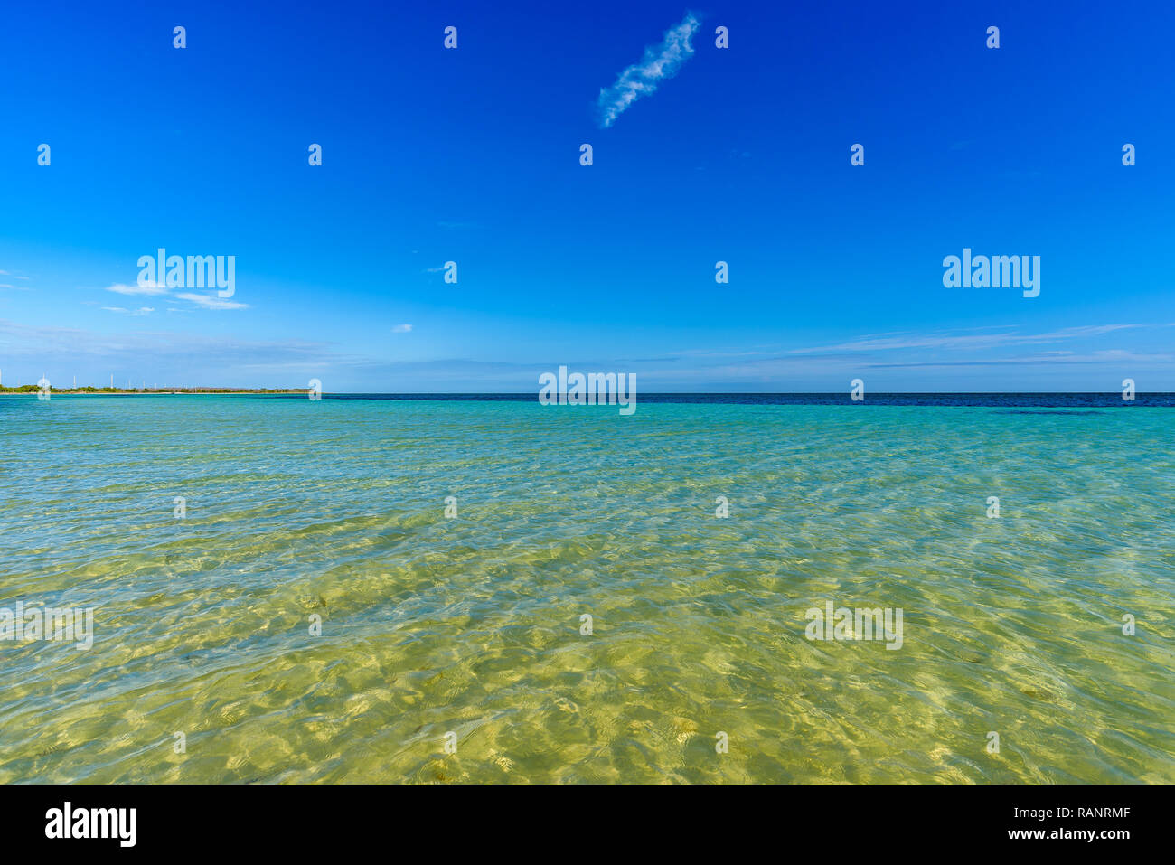Schönen weißen Sandstrand und das kristallklare, türkisfarbene Meer Wasser und blauer Himmel. Panoramablick auf die Landschaft der Bahia Honda State Park, Florida Keys, USA Stockfoto