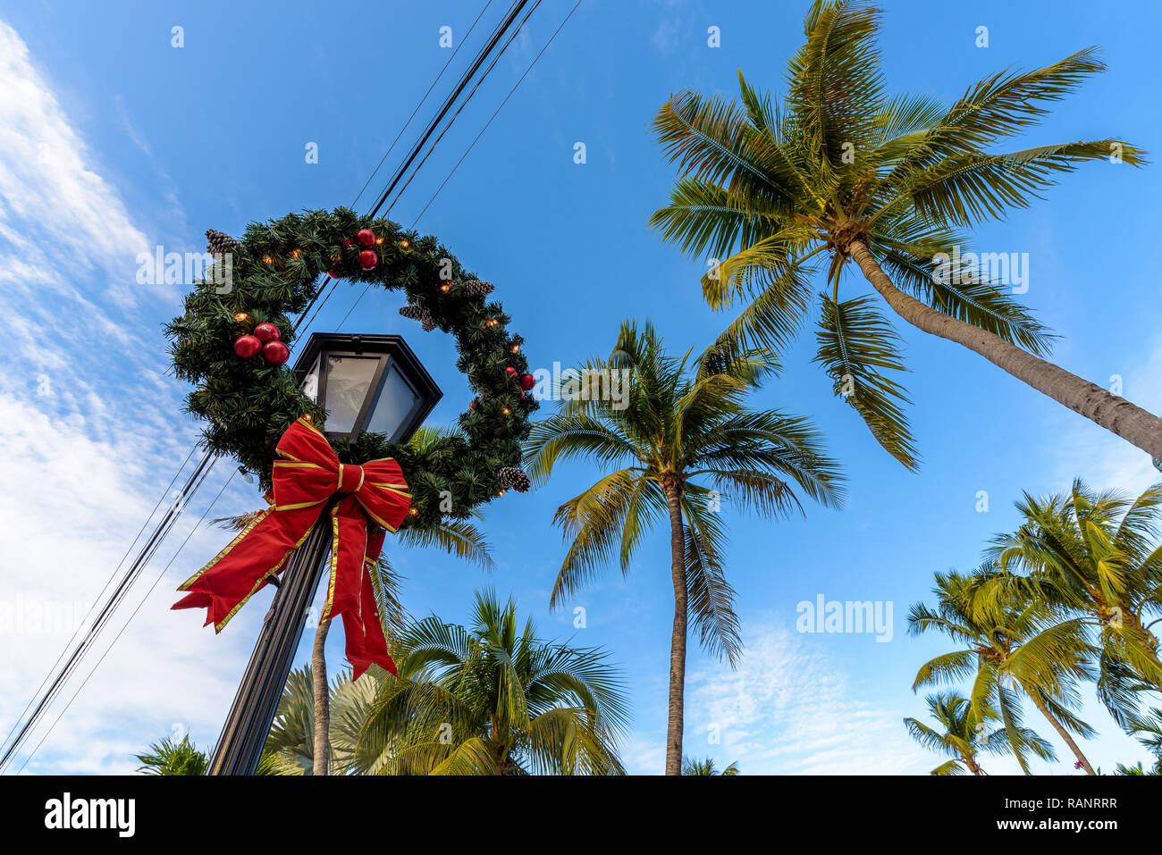 Weihnachtsschmuck mit einem roten Band auf einer öffentlichen Lamp Post mit tropischen Palmen im Hintergrund. Key West, Florida. Stockfoto