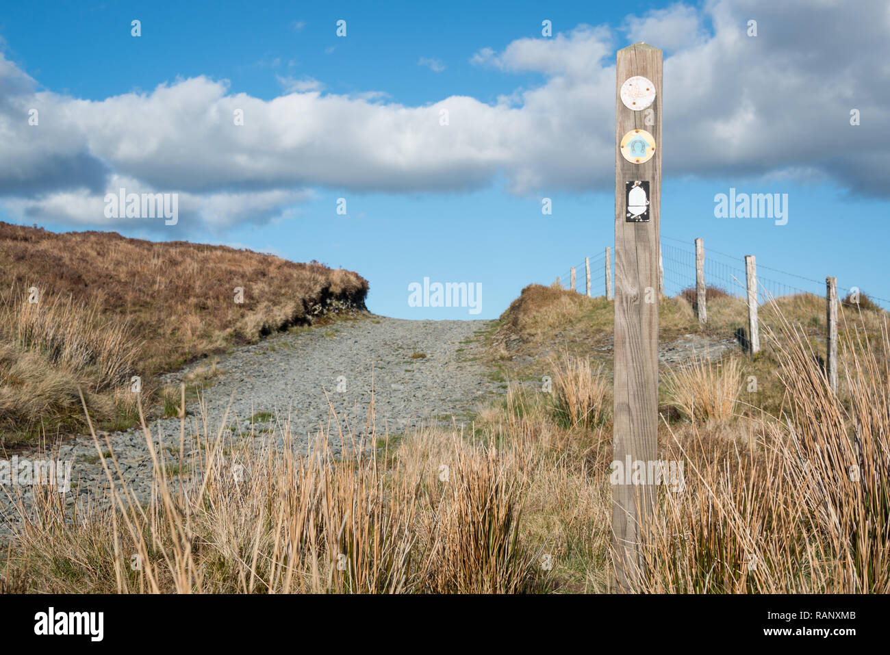 Glyndwr's Way Fußweg in der Nähe von Lake Glaslyn, Dylife, Powys, Wales Stockfoto