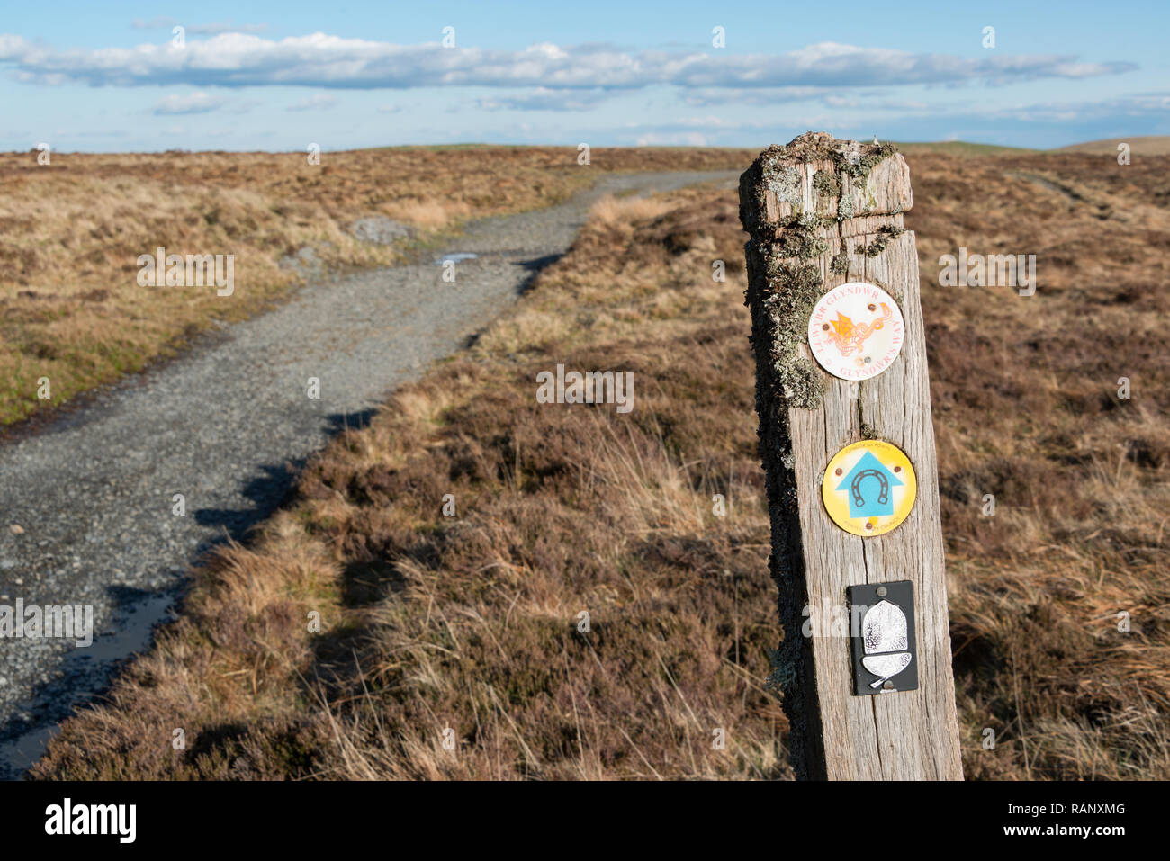 Glyndwr's Way Fußweg in der Nähe von Lake Glaslyn, Dylife, Powys, Wales Stockfoto