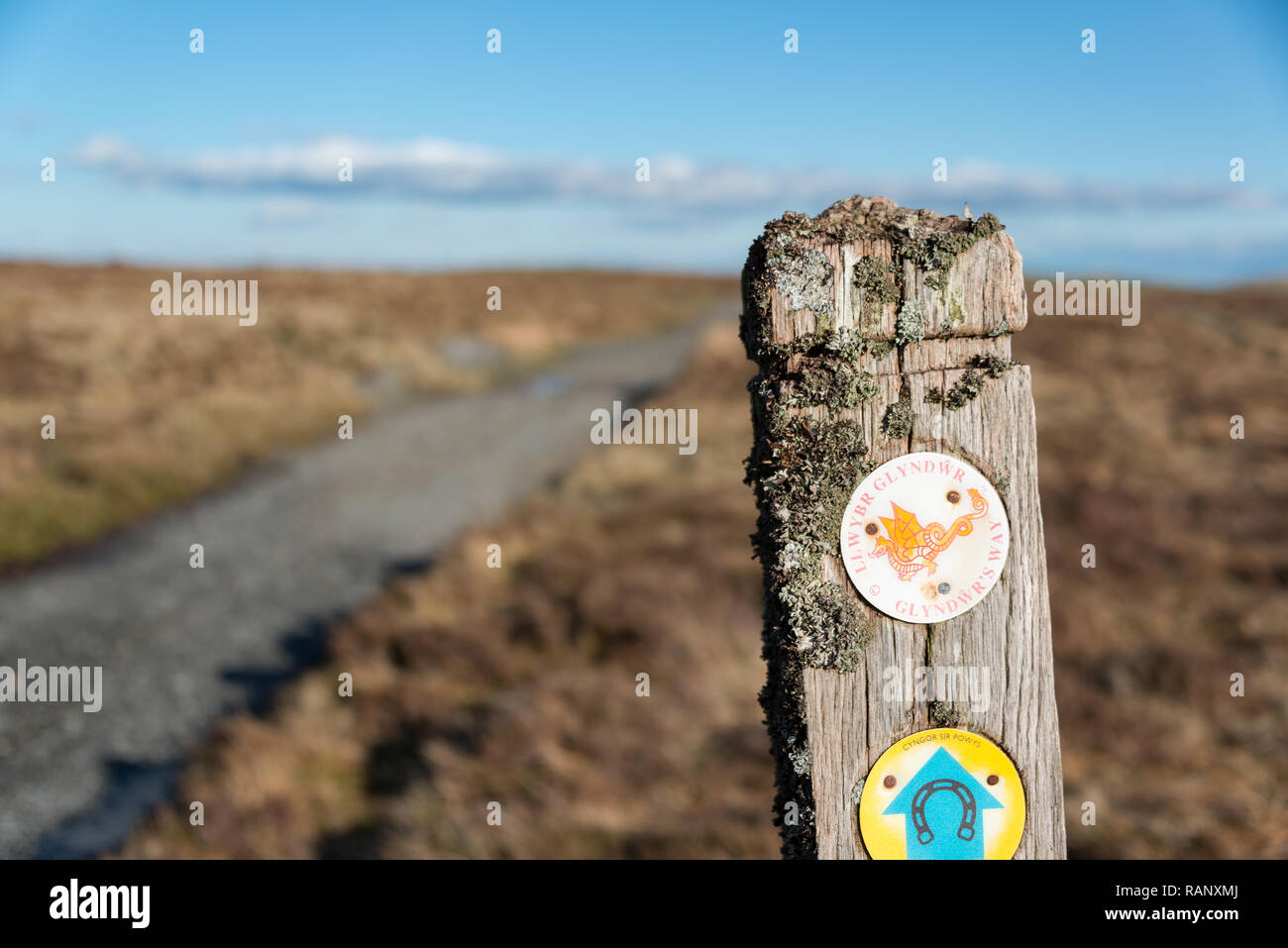 Glyndwr's Way Fußweg in der Nähe von Lake Glaslyn, Dylife, Powys, Wales Stockfoto