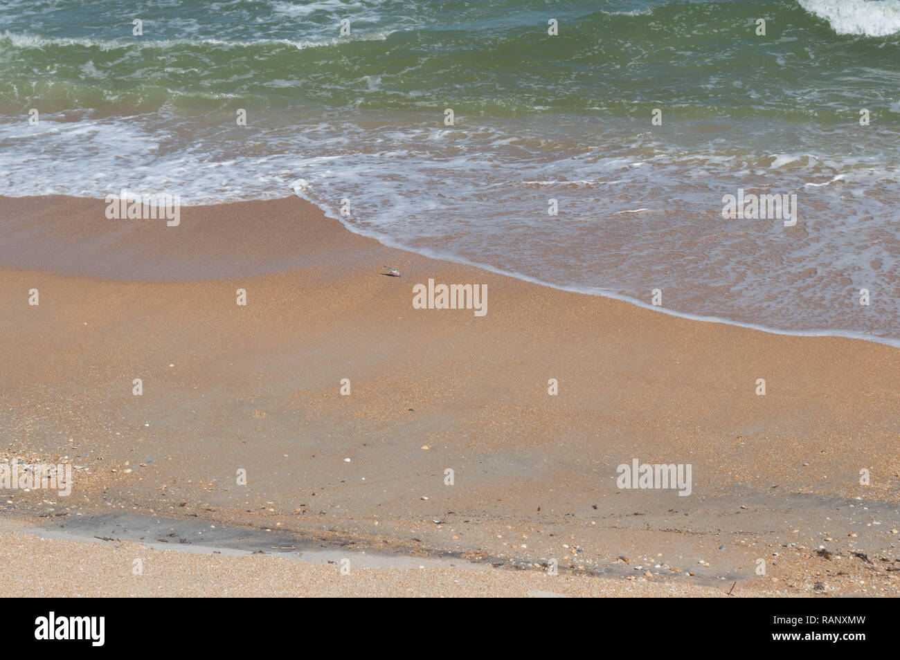Ruhige Nahaufnahme Wellen Grün Wasser Ruhe Surf schöne Orange Sand tropischen Florida Beach Atlantik Küste im Freien Natur tagsüber USA Stockfoto
