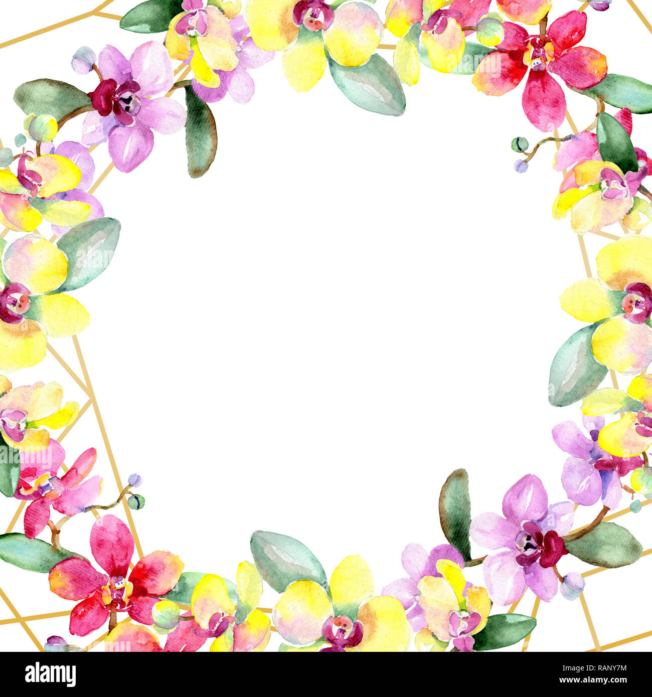 Orchidee Blumen botanischen Blume. Wild Federblatt wildflower isoliert. Aquarell Hintergrund Abbildung. Aquarell Zeichnung mode Aquarelle ist Stockfoto