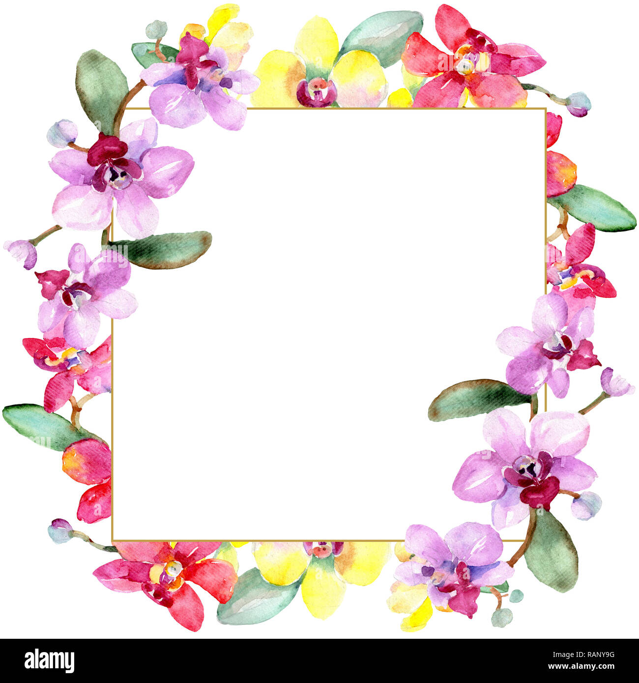 Orchidee Blumen botanischen Blume. Wild Federblatt wildflower isoliert. Aquarell Hintergrund Abbildung. Aquarell Zeichnung mode Aquarelle ist Stockfoto