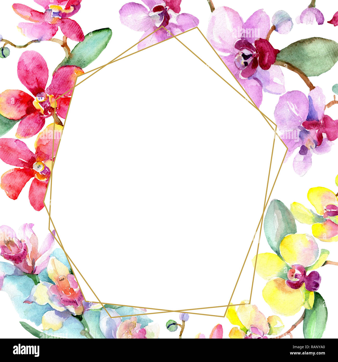 Orchidee Blumen botanischen Blume. Wild Federblatt wildflower isoliert. Aquarell Hintergrund Abbildung. Aquarell Zeichnung mode Aquarelle ist Stockfoto