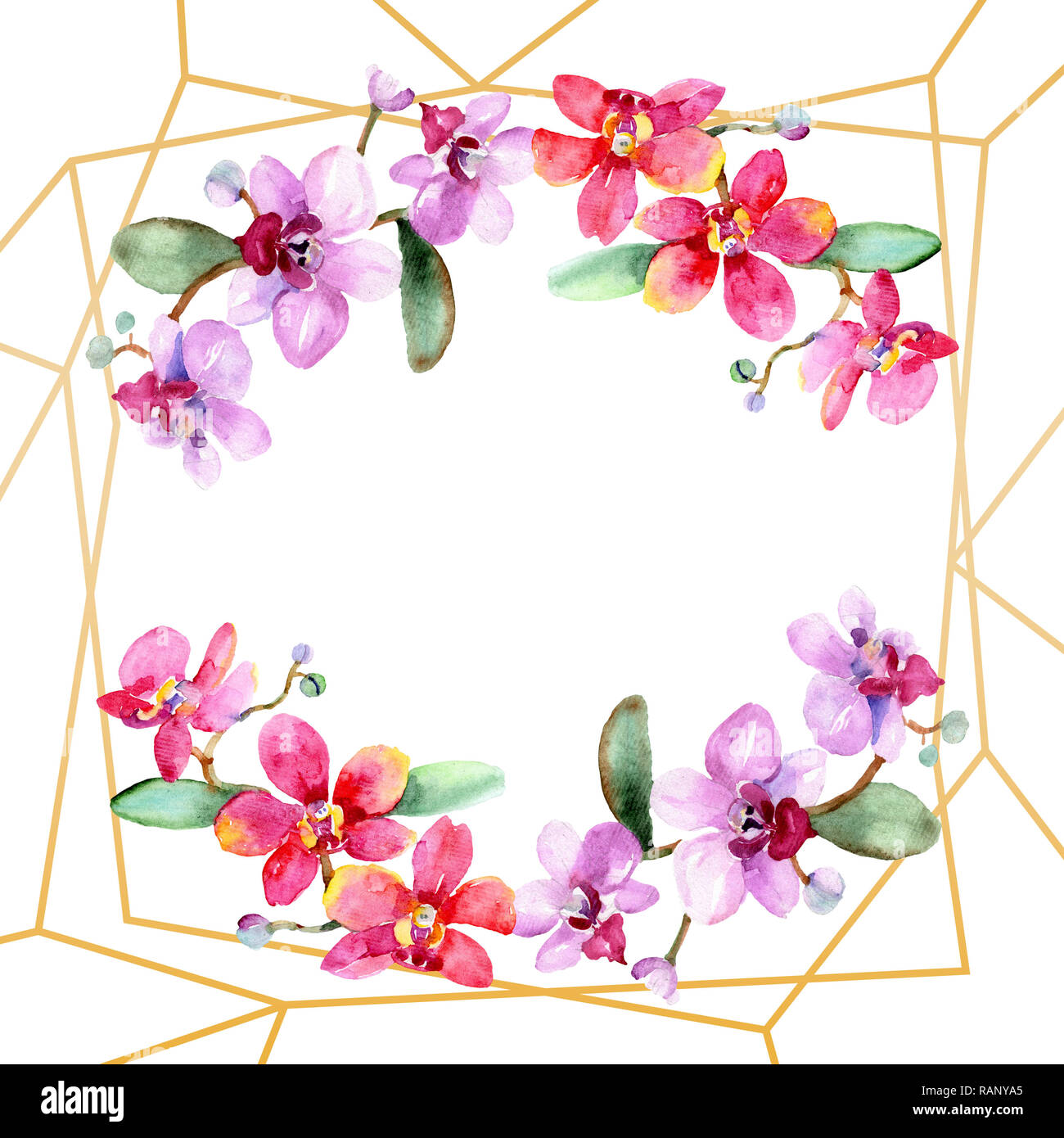 Orchidee Blumen botanischen Blume. Wild Federblatt wildflower isoliert. Aquarell Hintergrund Abbildung. Aquarell Zeichnung mode Aquarelle ist Stockfoto