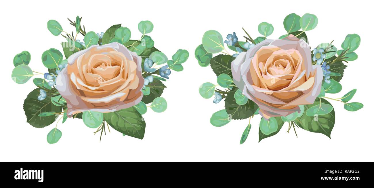Der Vektor Aquarell wunderschöne Rosen mit Eukalyptus Blätter auf weißem Hintergrund. Muster für die Gestaltung der Hochzeit Einladungen, Begrüßung Stock Vektor
