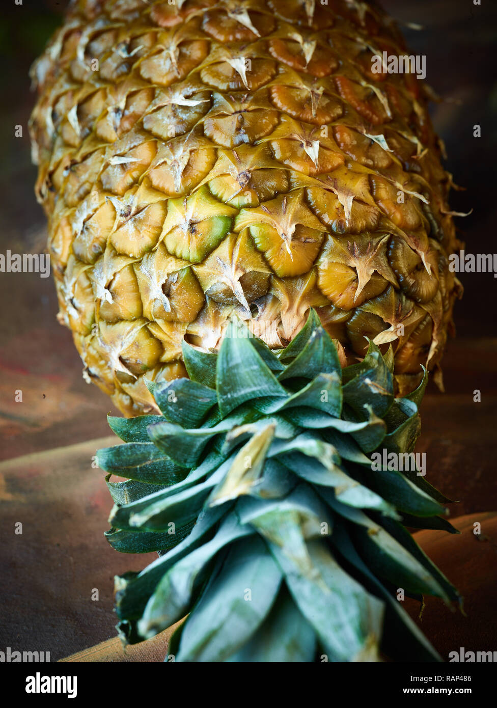 Ananas Obst Stillleben, Nahaufnahme foto Aussaat der Haut im Detail Stockfoto