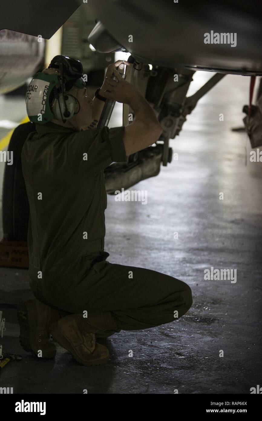 Us Marine Corps Lance Cpl. Maura Cool, ein Frame Betreuer mit Marine All-Weather Fighter Attack Squadron (Vmfa) 224, das Fahrwerk einer F/A-18D Hornet reinigt während der Übung Jaded Thunder17 am Salina, K.S., 24.02.20, 2017. VMFA (AW)-224 in Jaded Donner, einen gemeinsamen Dienst Übung teilgenommen, die Ausbildung Anforderungen vollständig und für zukünftige Bereitstellungen vorbereiten. Stockfoto