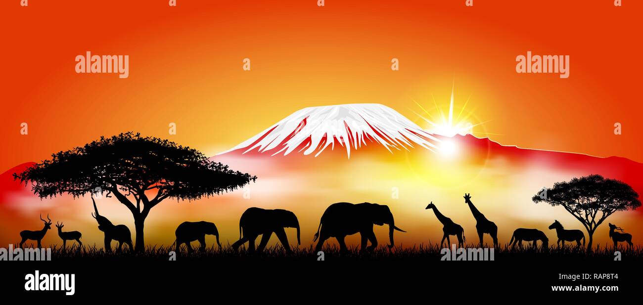 Silhouetten der wilden Tiere der Afrikanischen Savanne auf dem Hintergrund der Kilimanjaro mount. Stock Vektor
