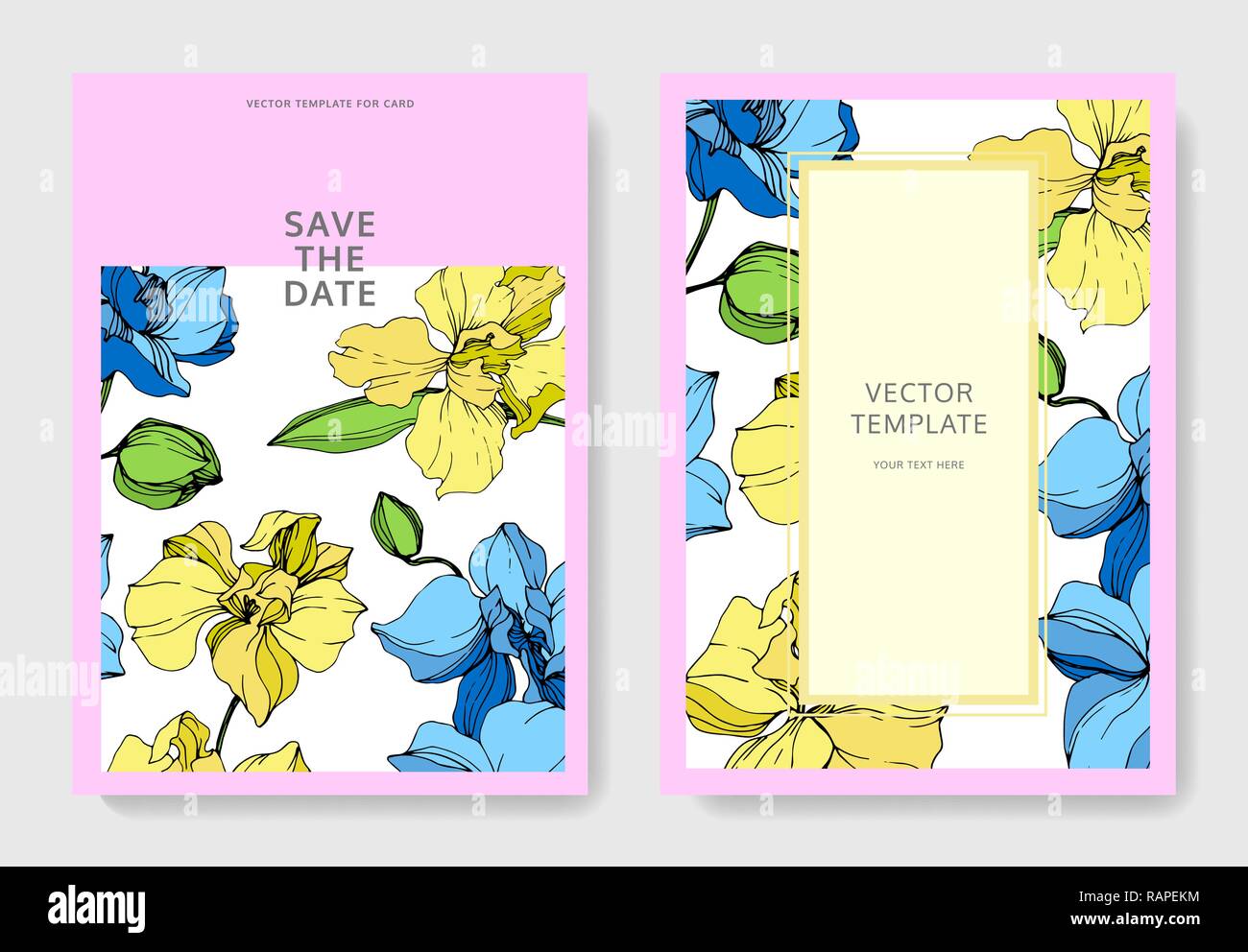 Vektor. Orchid botanischen Blume. Blau und Gelb graviert Tinte Art Hochzeit rosa Hintergrund Karte Blumen dekorativ Grenze. Danke, Rsvp, Einladung Stock Vektor