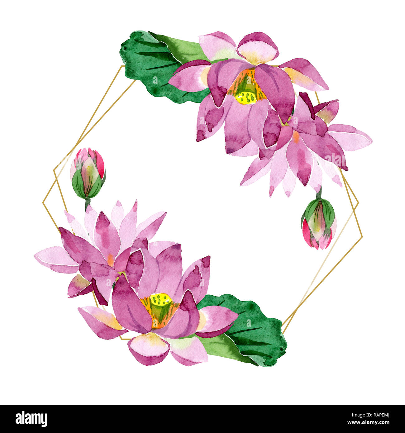Lila Lotus Florale Botanischen Blume Wild Federblatt Isoliert Aquarell Hintergrund Abbildung Aquarell Zeichnung Mode Aquarelle Rahmen Stockfotografie Alamy