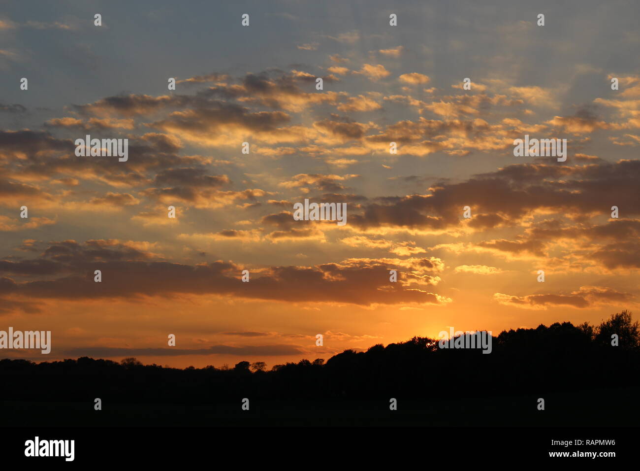 Bewölkter Sonnenuntergang wildlife Stockfoto