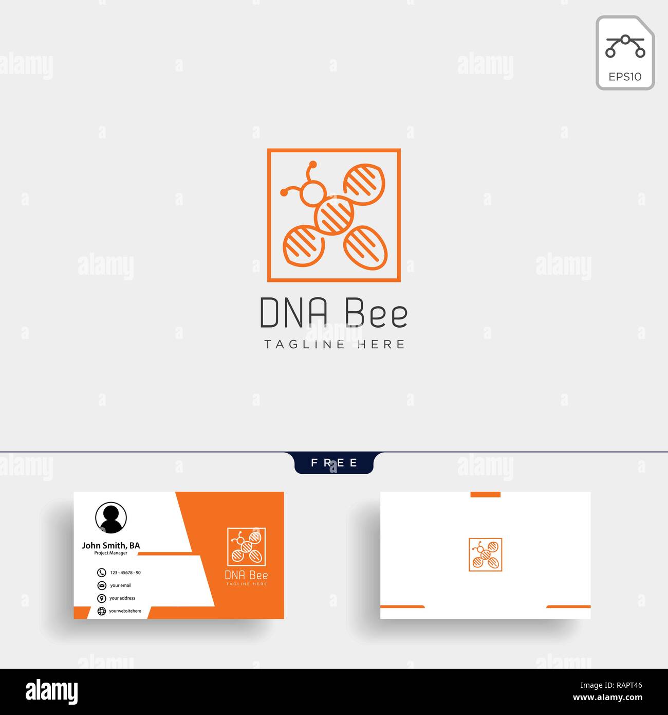 Biene DNA-Wissenschaft kreative logo Vorlage mit Business Card Stock Vektor