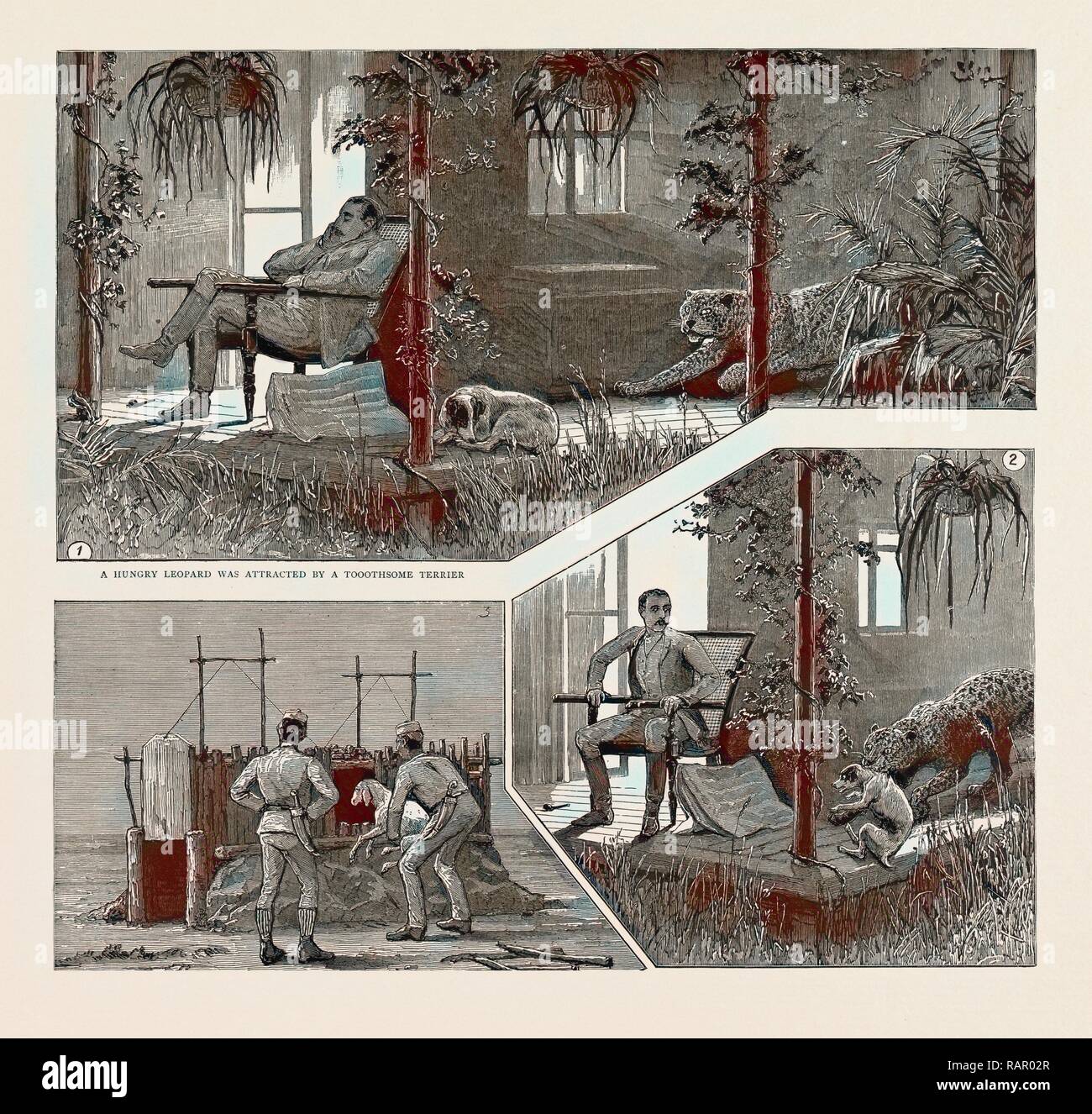 Ein LEOPARD JAGD IN OBEREN BURMA, 1889 ein HUNGRIGER LEOPARD wurde