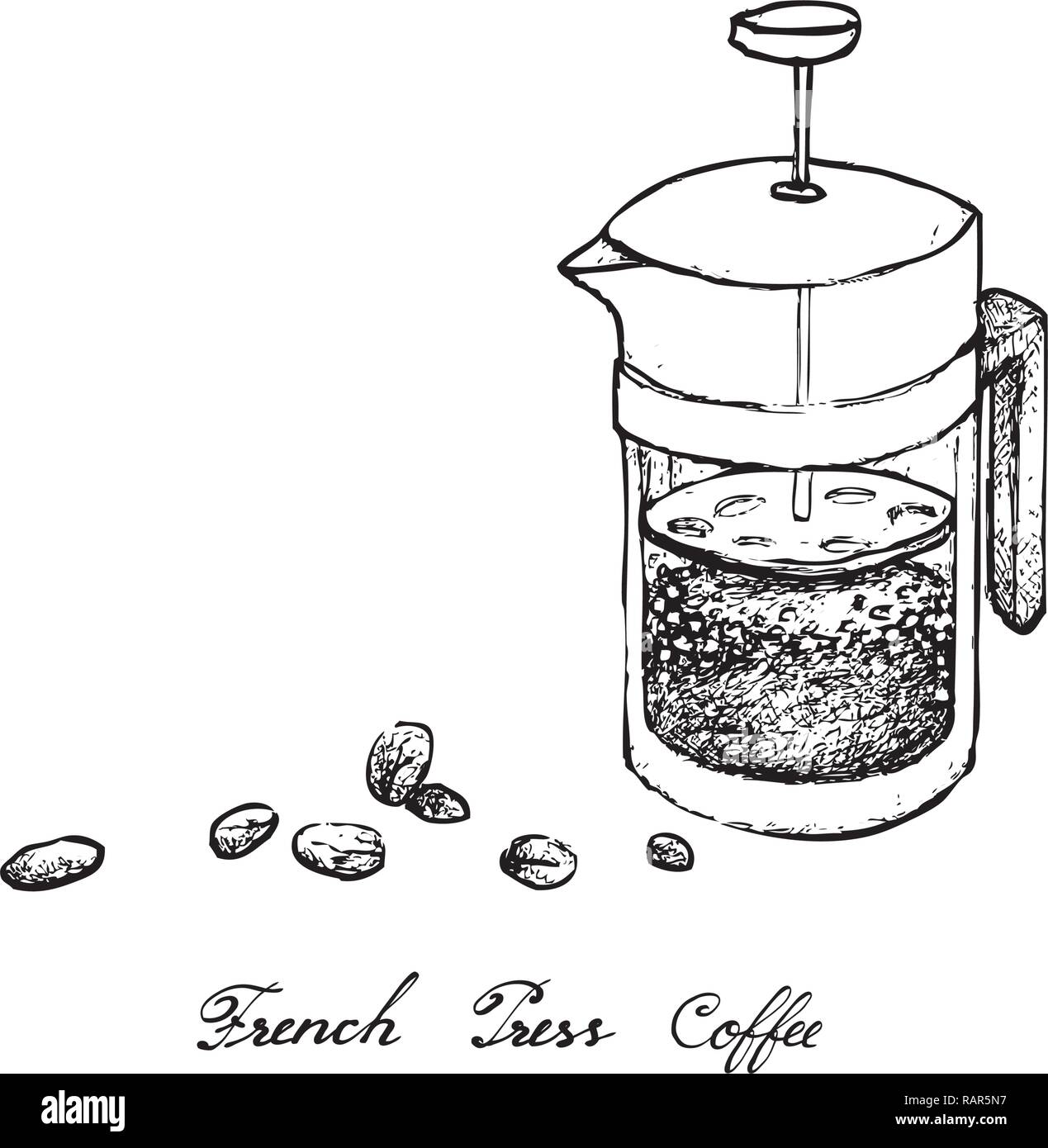 Abbildung Hand gezeichnete Skizze von Kaffeebohnen mit French Press  Kaffeebereiter Topf oder ein Kolben, eine traditionelle französische  Kaffeemaschine Stock-Vektorgrafik - Alamy
