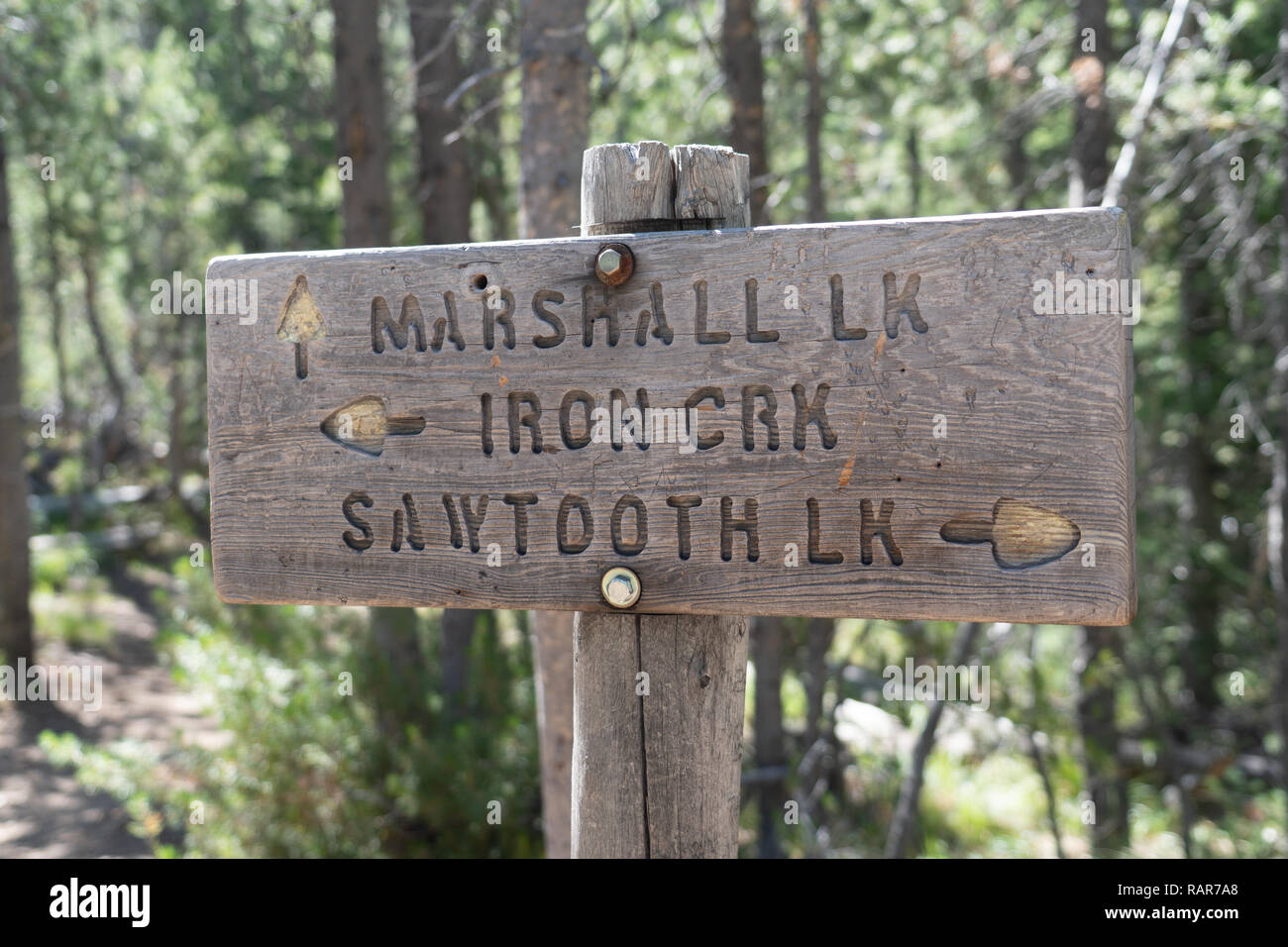 Zeichen für verschiedene Wanderwege in der Sägezahn Wildnis - Marshall See, Bügeleisen Creek und Sägezahn See Stockfoto