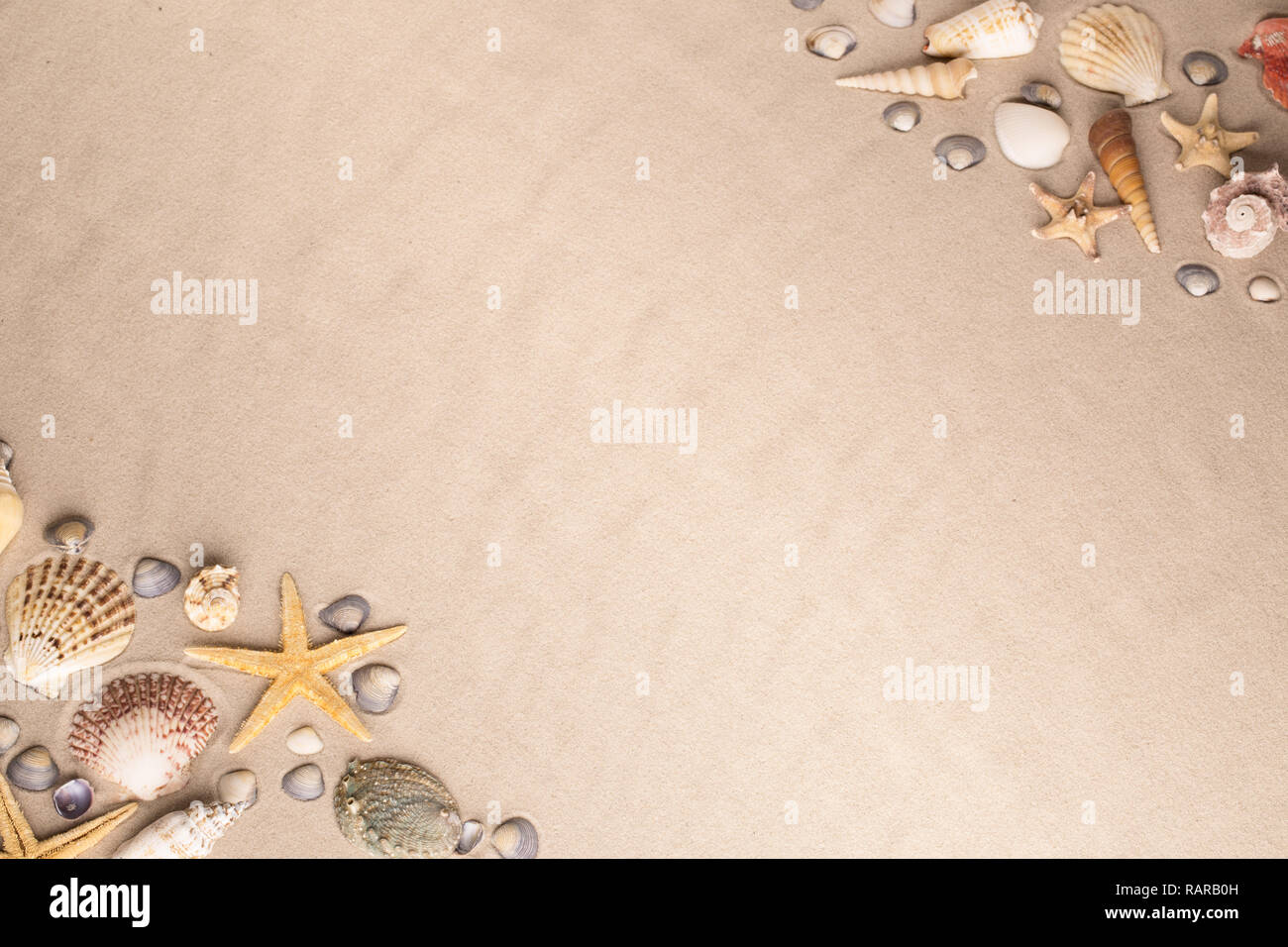 Muscheln und Seesterne Hintergrund. Muscheln und Fisch am Strand sand Stockfoto