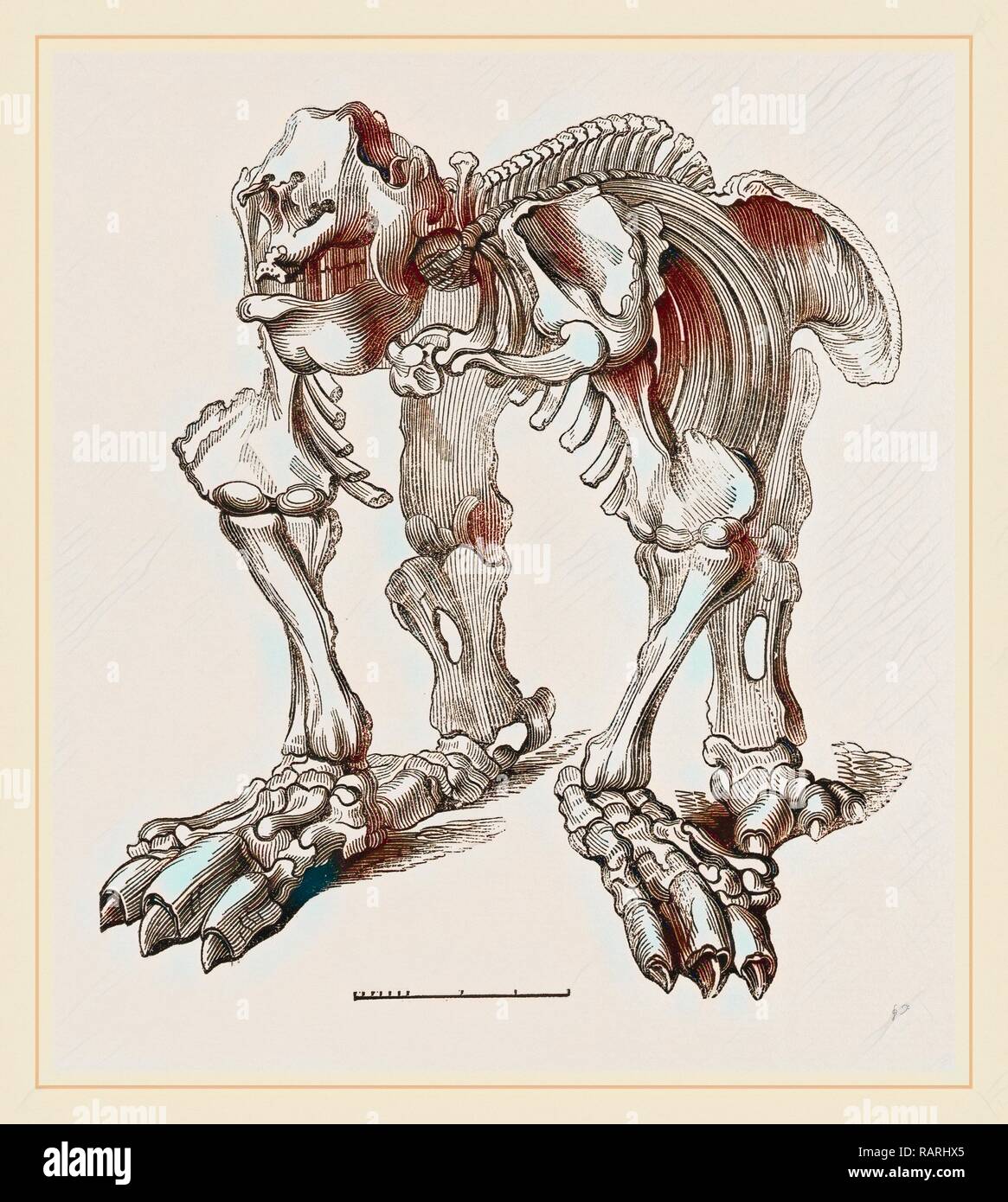 Skelett von Megatherium. Neuerfundene durch Gibon. Klassische Kunst mit einem modernen Touch neuerfundene Stockfoto