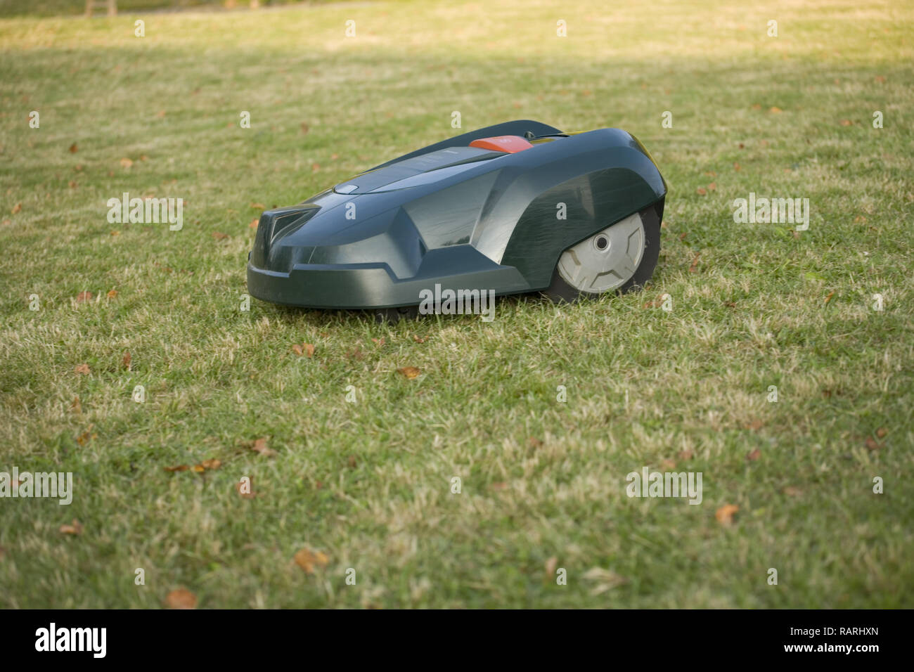 Automatische Roboter Rasenmäher Schneiden von Gras Seitenansicht Stockfoto