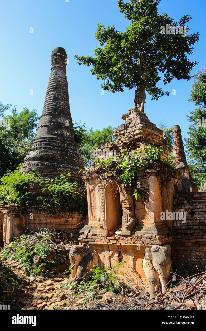 Shwe Inn Dain Pagode Komplex in Indein Dorf Inle Lake Myanmar (Birma) Stockfoto