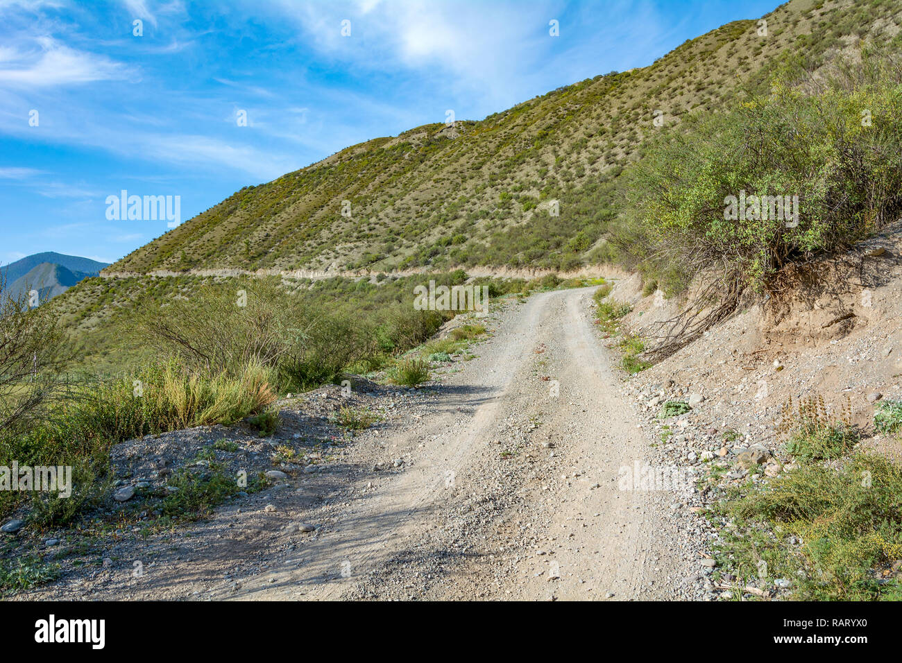 Feldweg auf die Einfassung des Hang gelegt, argut Cluster in der Republik Altai Stockfoto