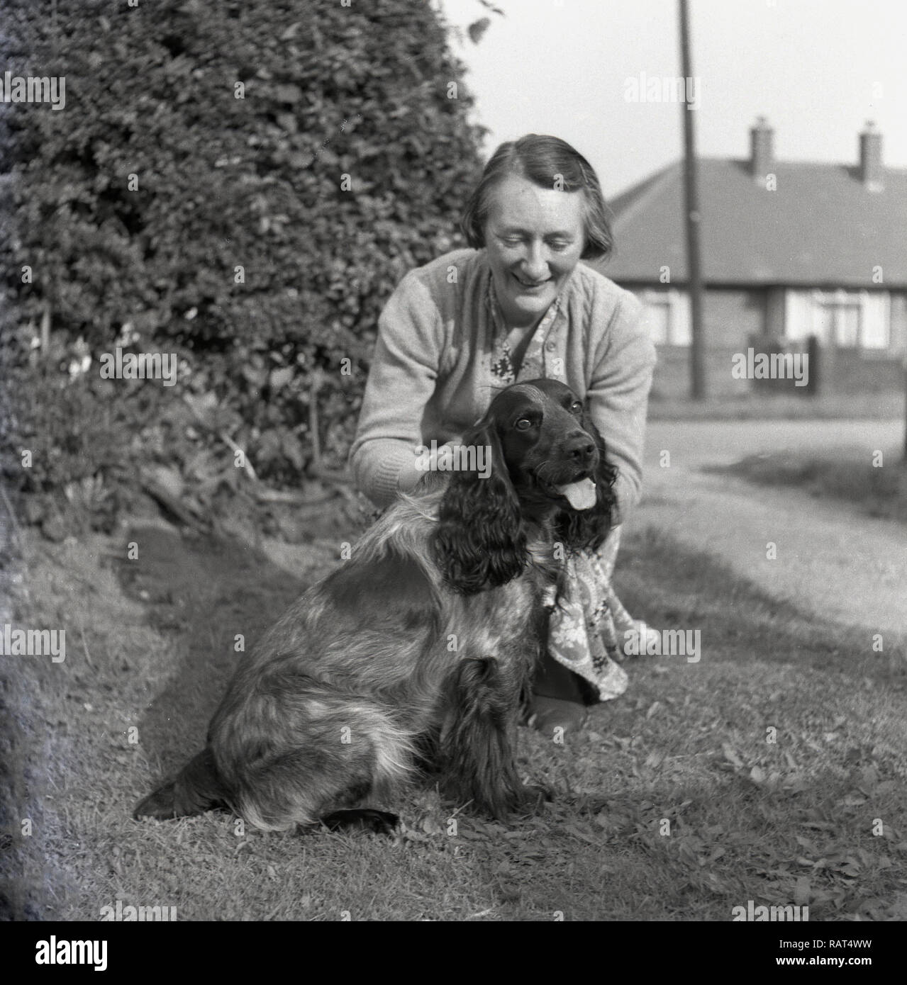 1950, historische, auf einem grasbewachsenen Rand, eine ausgereifte englische Lady kniete neben ihr Hund, ein Cocker Spaniel. Stockfoto