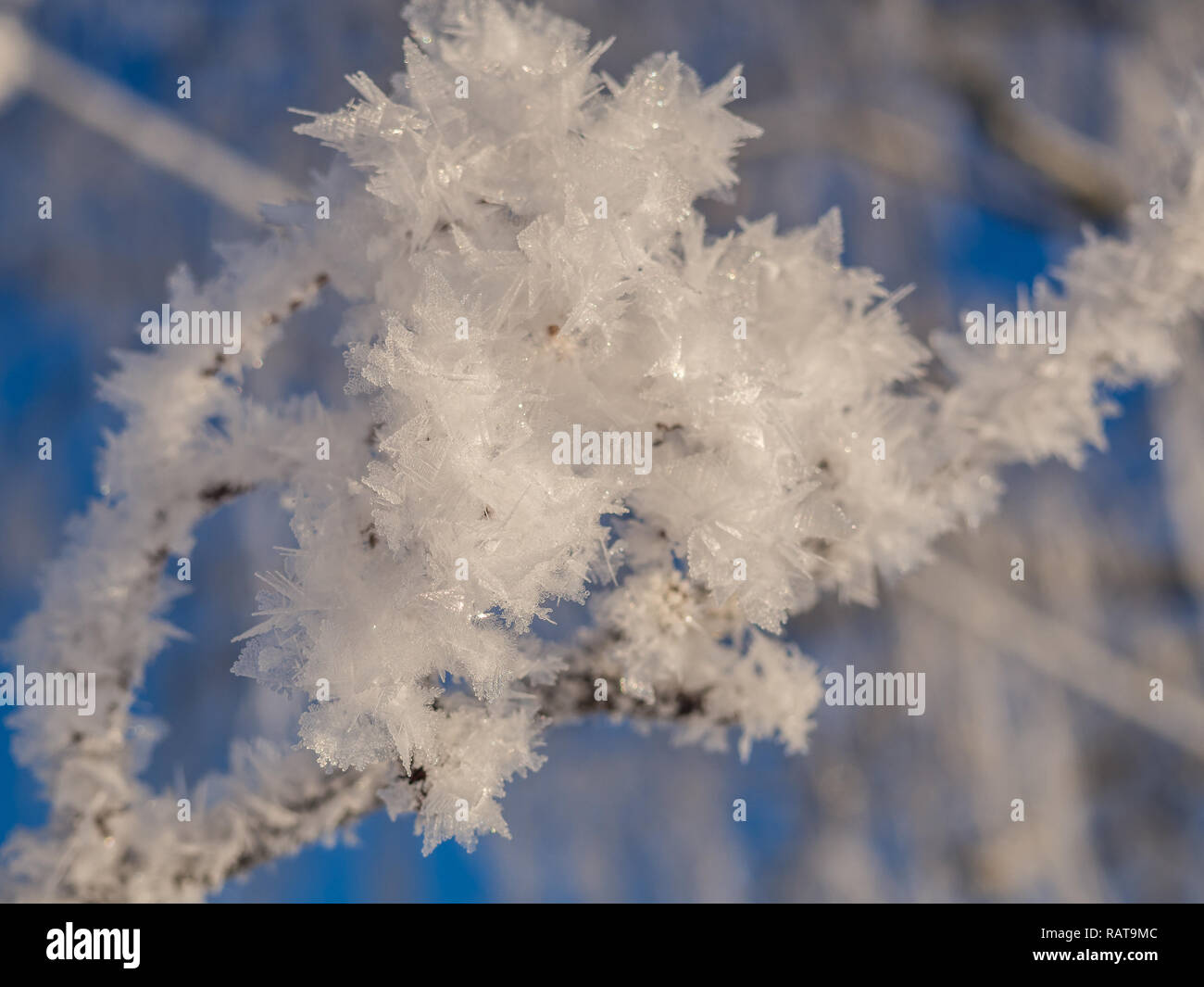 Eiskristalle bei -2 Grad Stockfoto