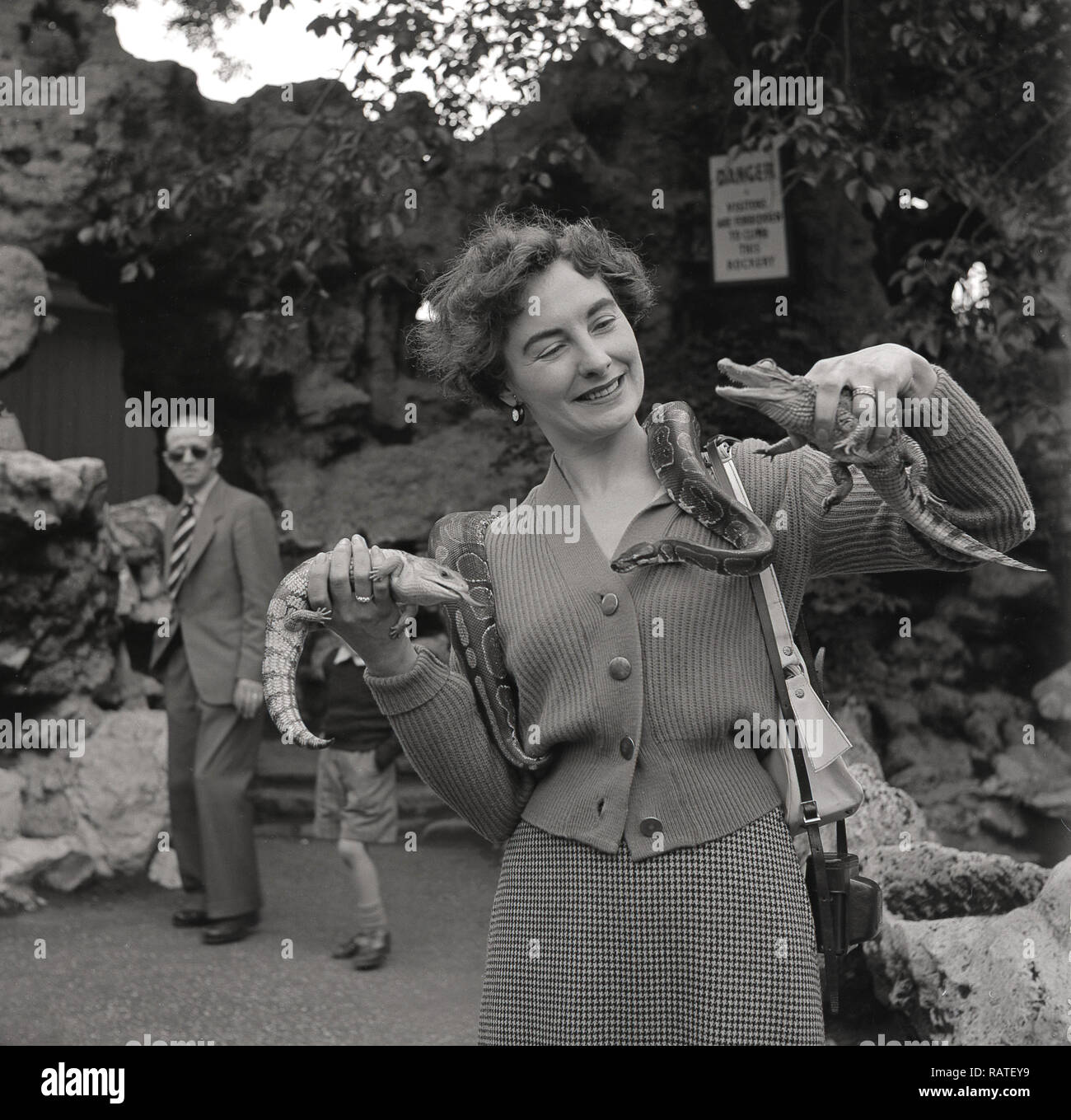 1950er Jahre, Elegant - und mutig-Dame an einen Zoo mit einer Schlange auf ihre Schulter und halten zwei kleine Reptilien in ihren Händen, baby Krokodile (Jungtiere), England, UK. Stockfoto