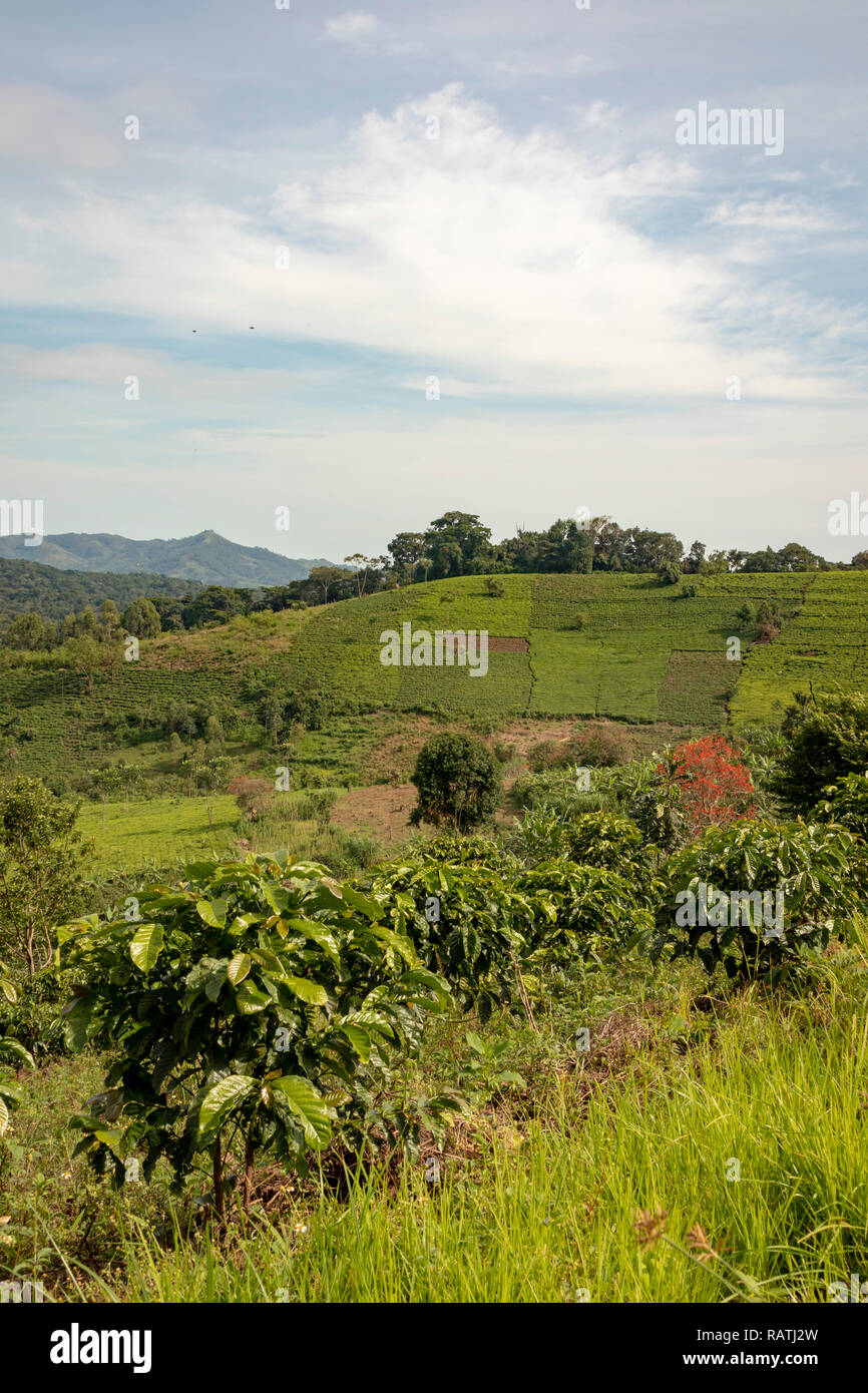 Landschaft neben Bwindi Impenetrable Forest Nationalpark, Uganda, Afrika Stockfoto