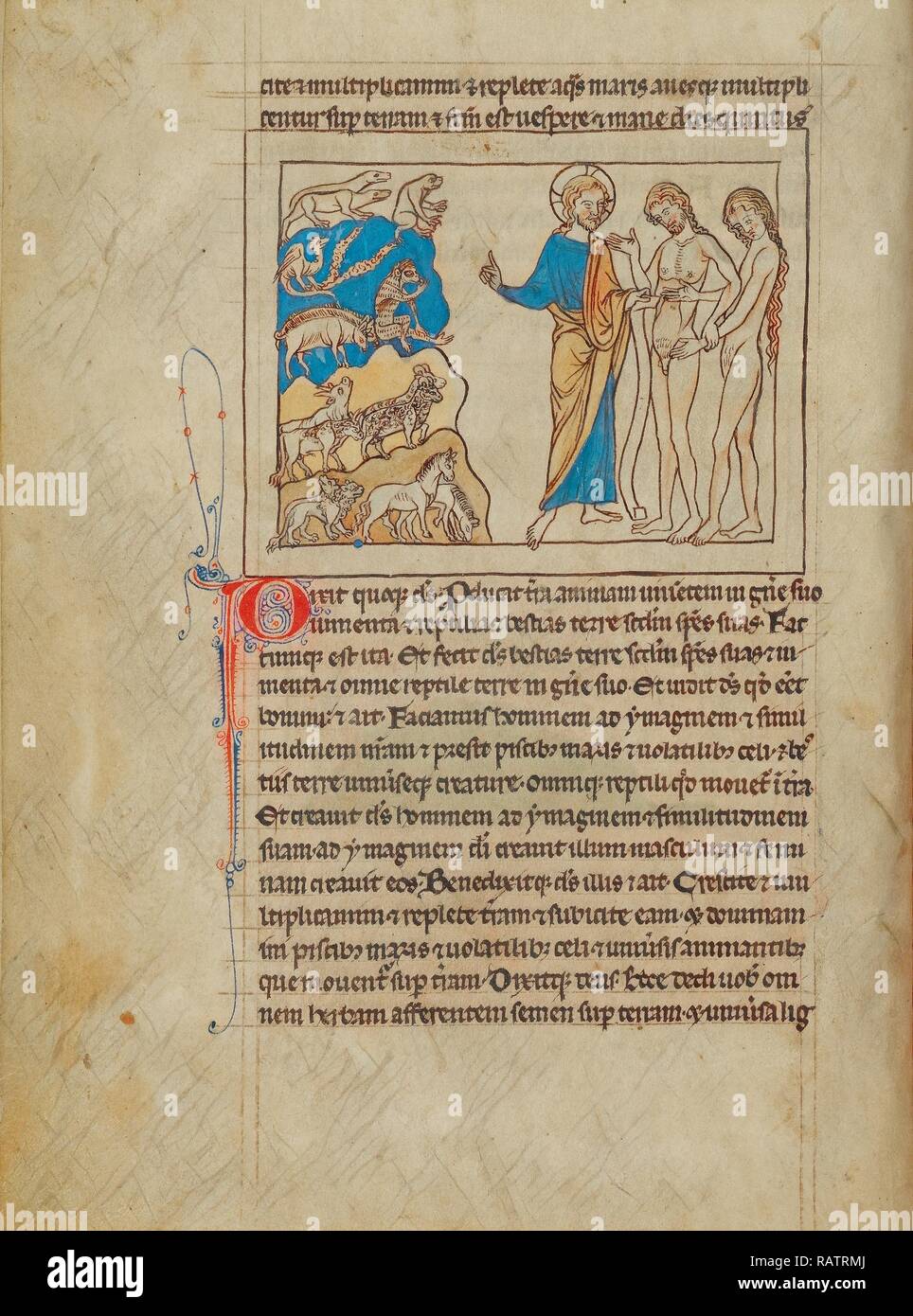 Der Erschaffung der Tiere und von Adam und Eva, Unbekannt, England, Europa, ca. 1250 - 1260, Federzeichnungen neuerfundene Stockfoto